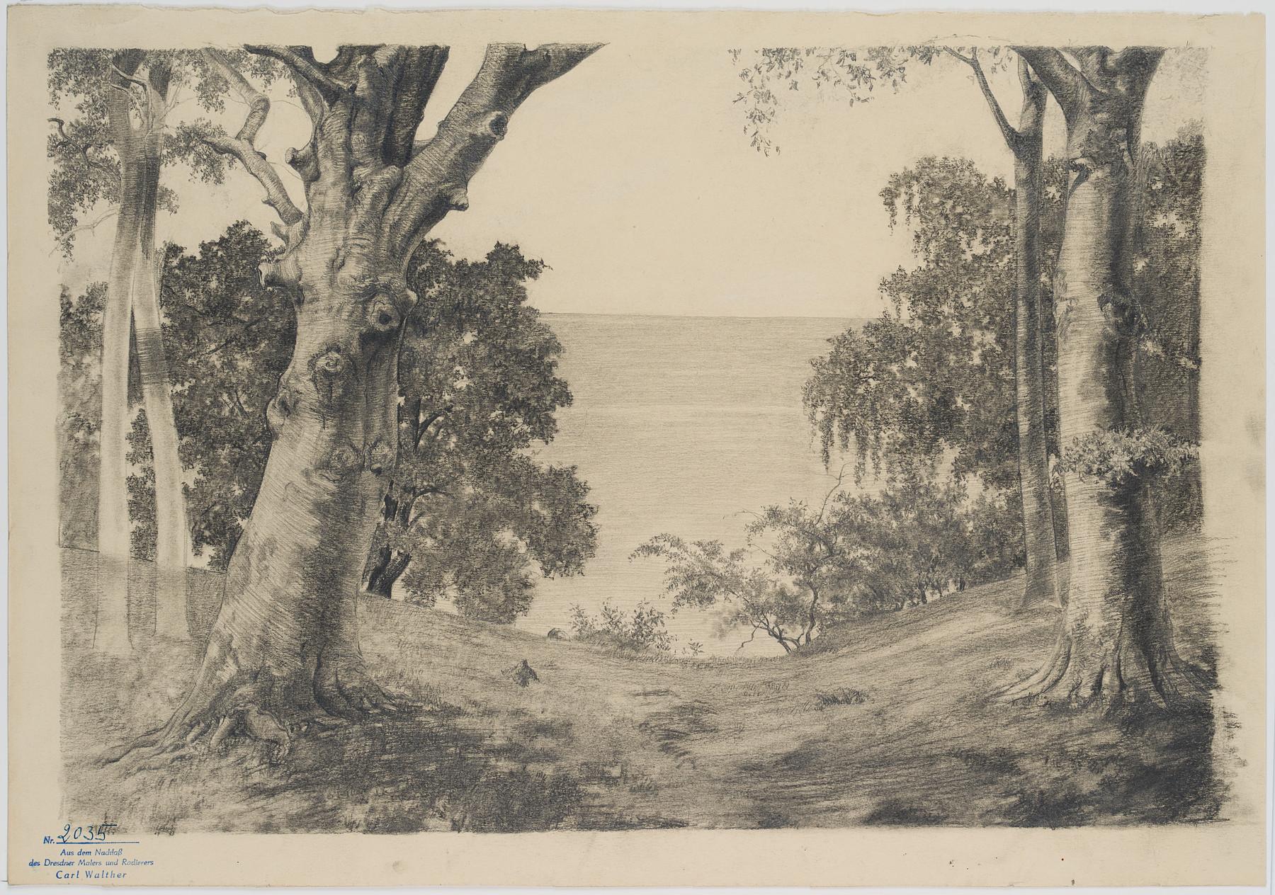 Landscape with trees by the sea - Art by Carl August Walther