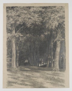 Wooded landscape
