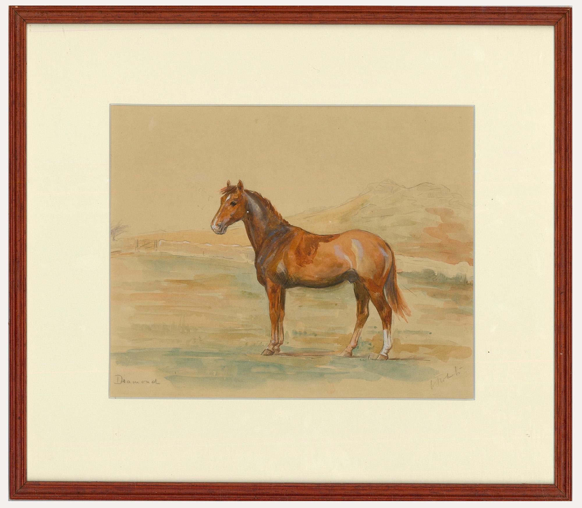 Unknown Animal Art - Framed 20th Century Watercolour - Portrait of Diamond