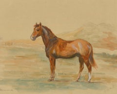 Framed 20th Century Watercolour - Portrait of Diamond