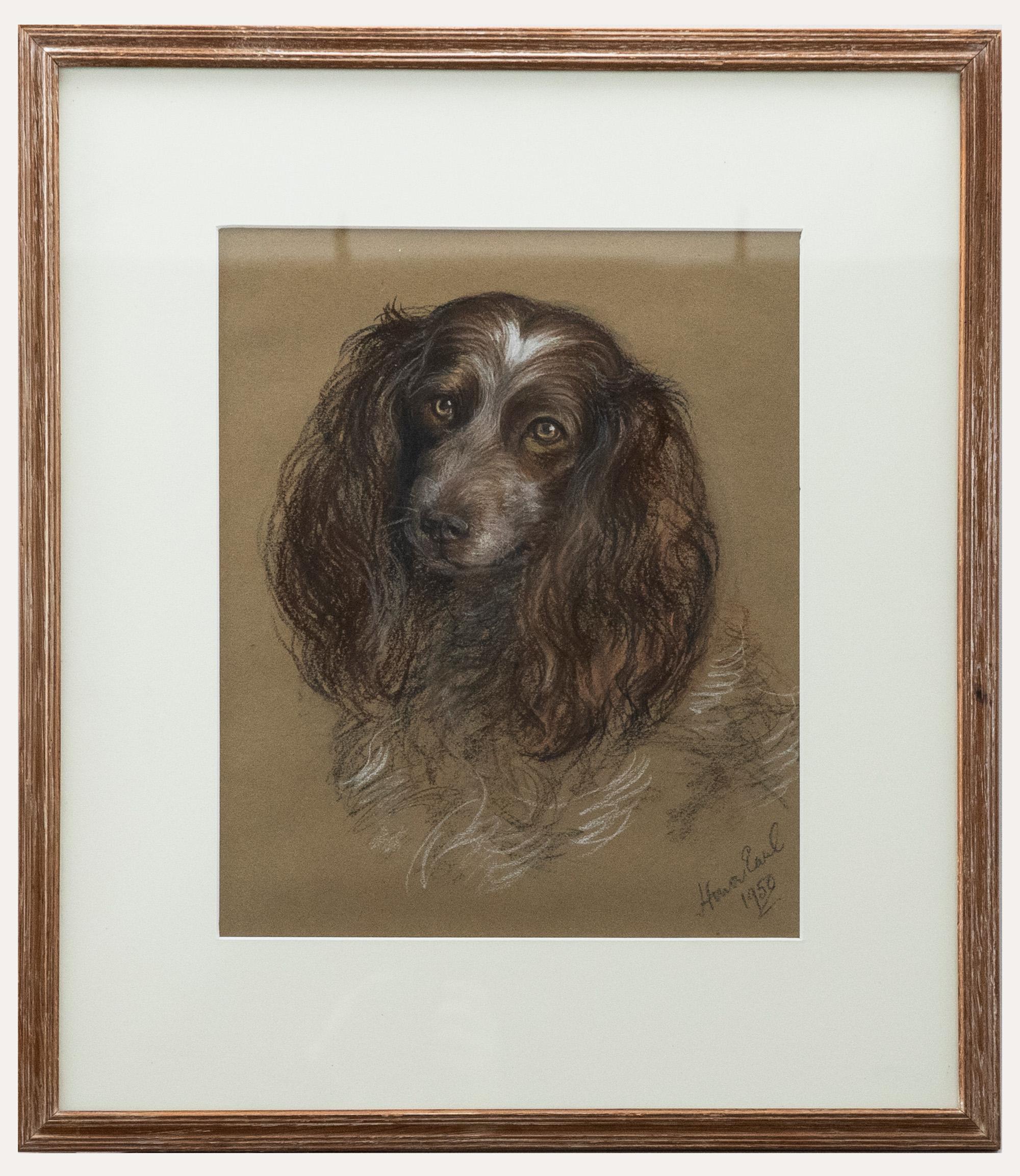 Edith Honor Earl (1901-1996) - Gerahmtes pastellfarbenes Porträt eines Cocker Spaniels aus dem Jahr 1950