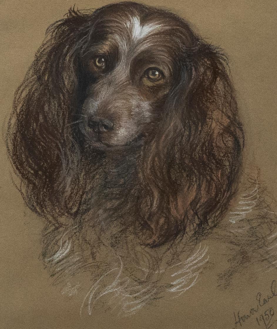 Edith Honor Earl (1901-1996) - Gerahmtes pastellfarbenes Porträt eines Cocker Spaniels aus dem Jahr 1950 – Art von Unknown