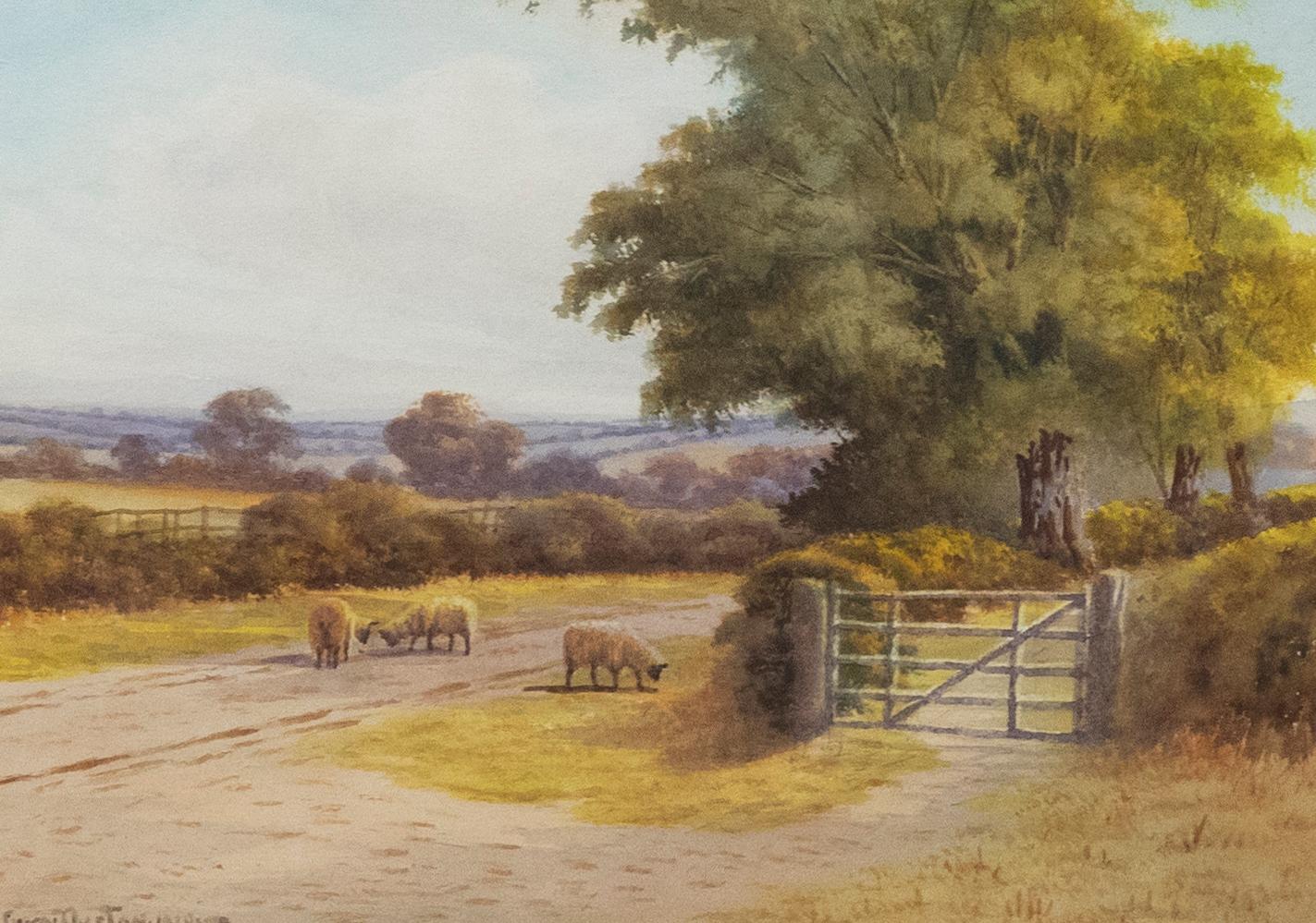 George Oyston (1861-1937) - Framed Watercolour, Sheep Near Ash, Surrey For Sale 1