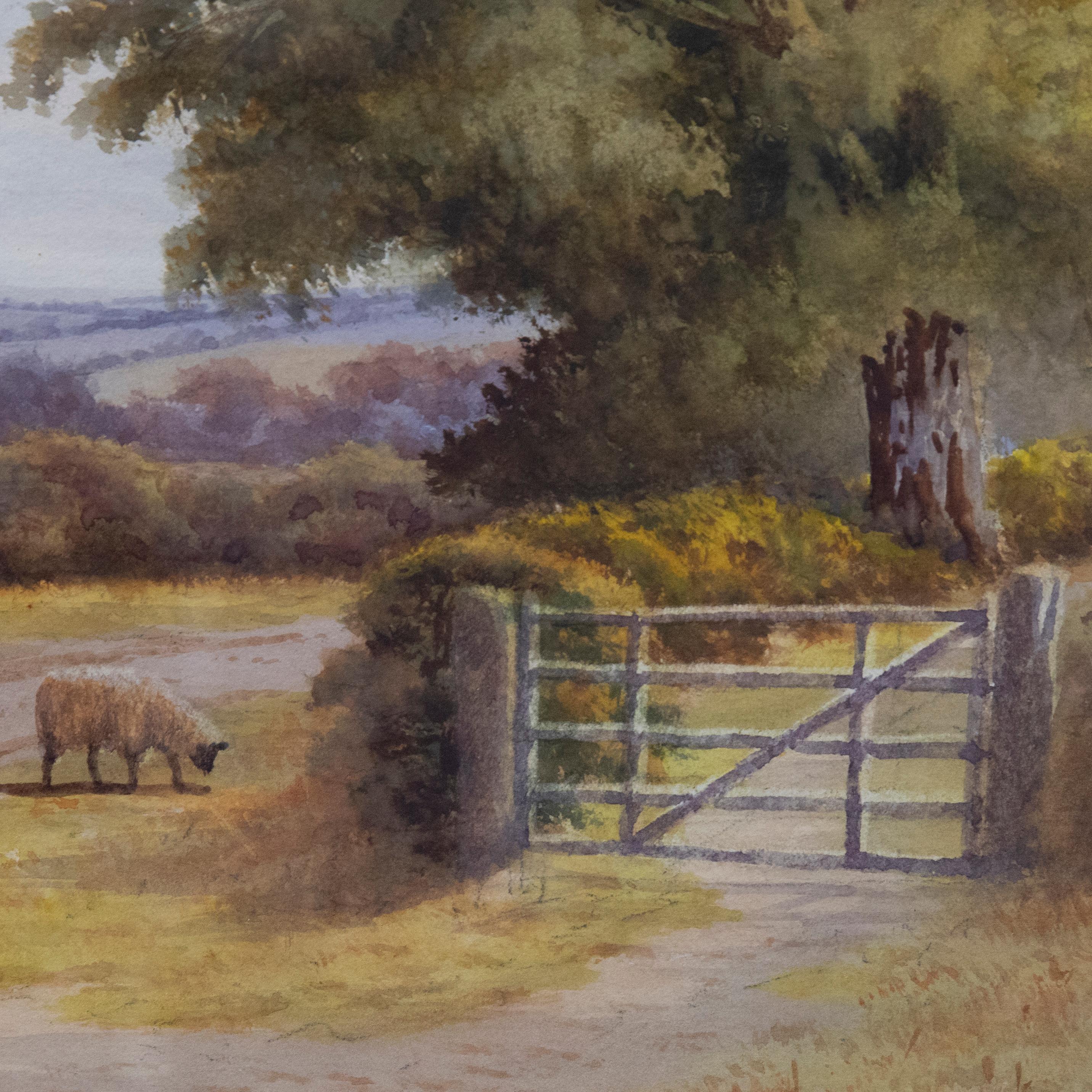 George Oyston (1861-1937) - Framed Watercolour, Sheep Near Ash, Surrey For Sale 3