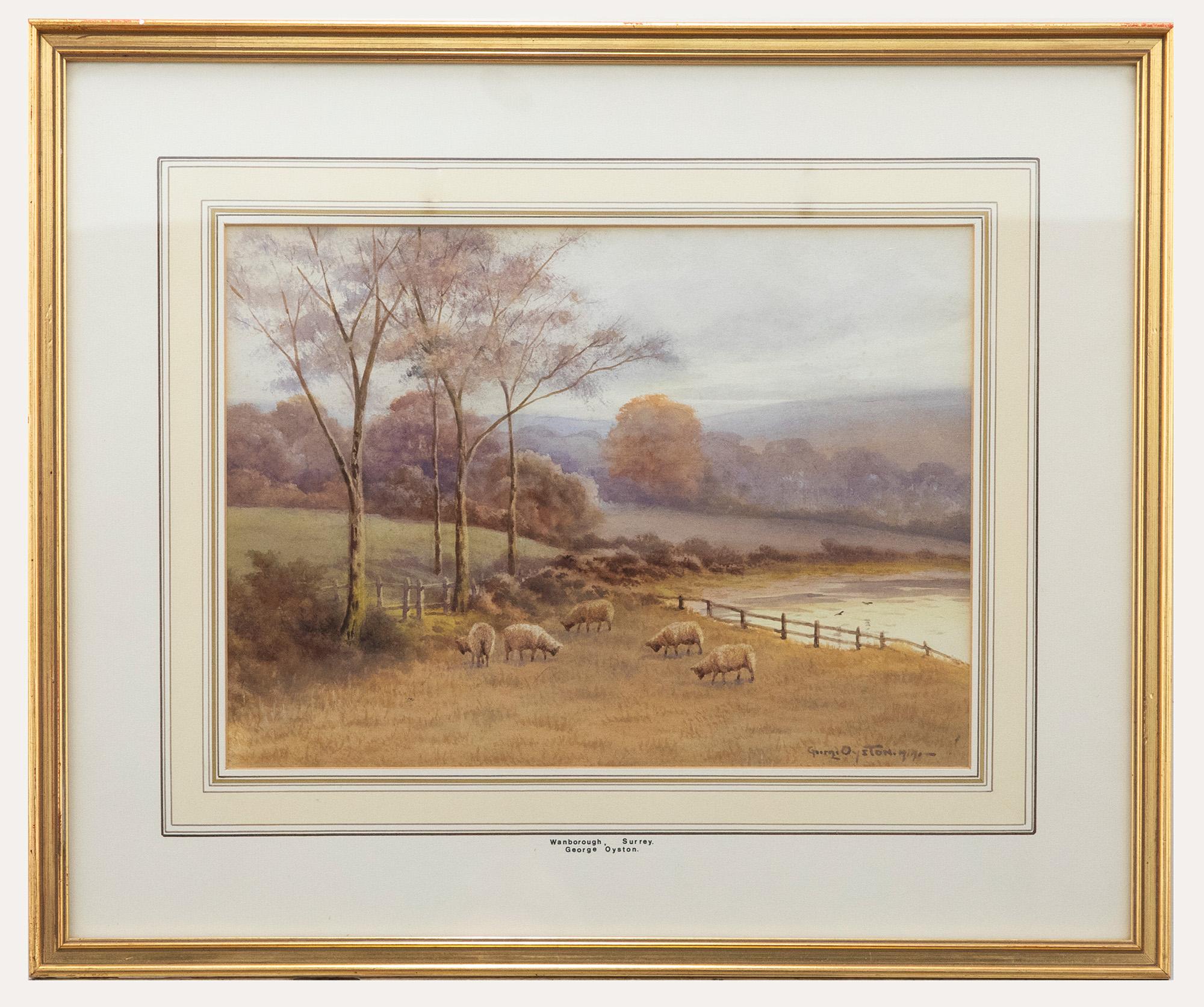 George Oyston (1861-1937) - Framed Watercolour, Sheep Near Wanborough, Surrey
