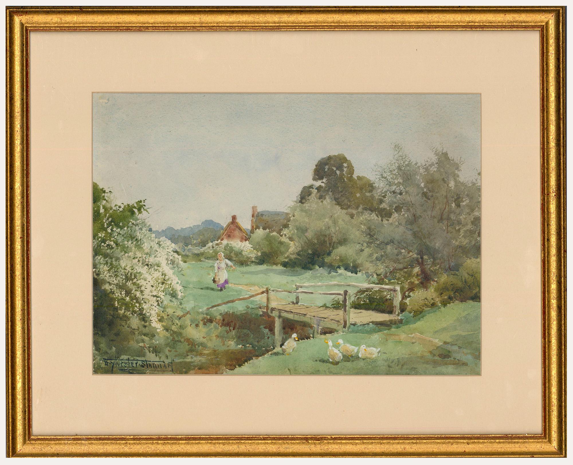 Henry Sylvester Stannard (1870-1951) - Gerahmtes Aquarell, Pekin-Enten