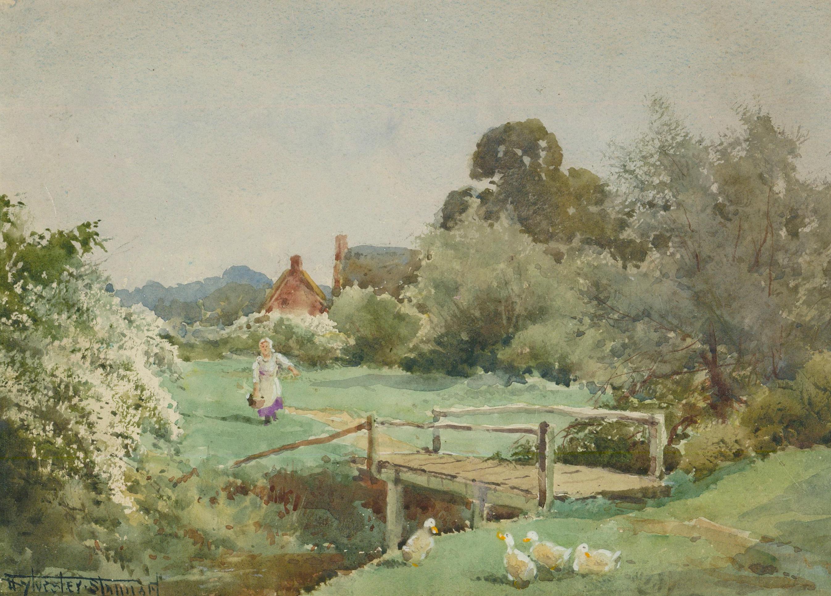 Henry Sylvester Stannard (1870-1951) - Framed Watercolour, Pekin Ducks - Art by Henry Stannard