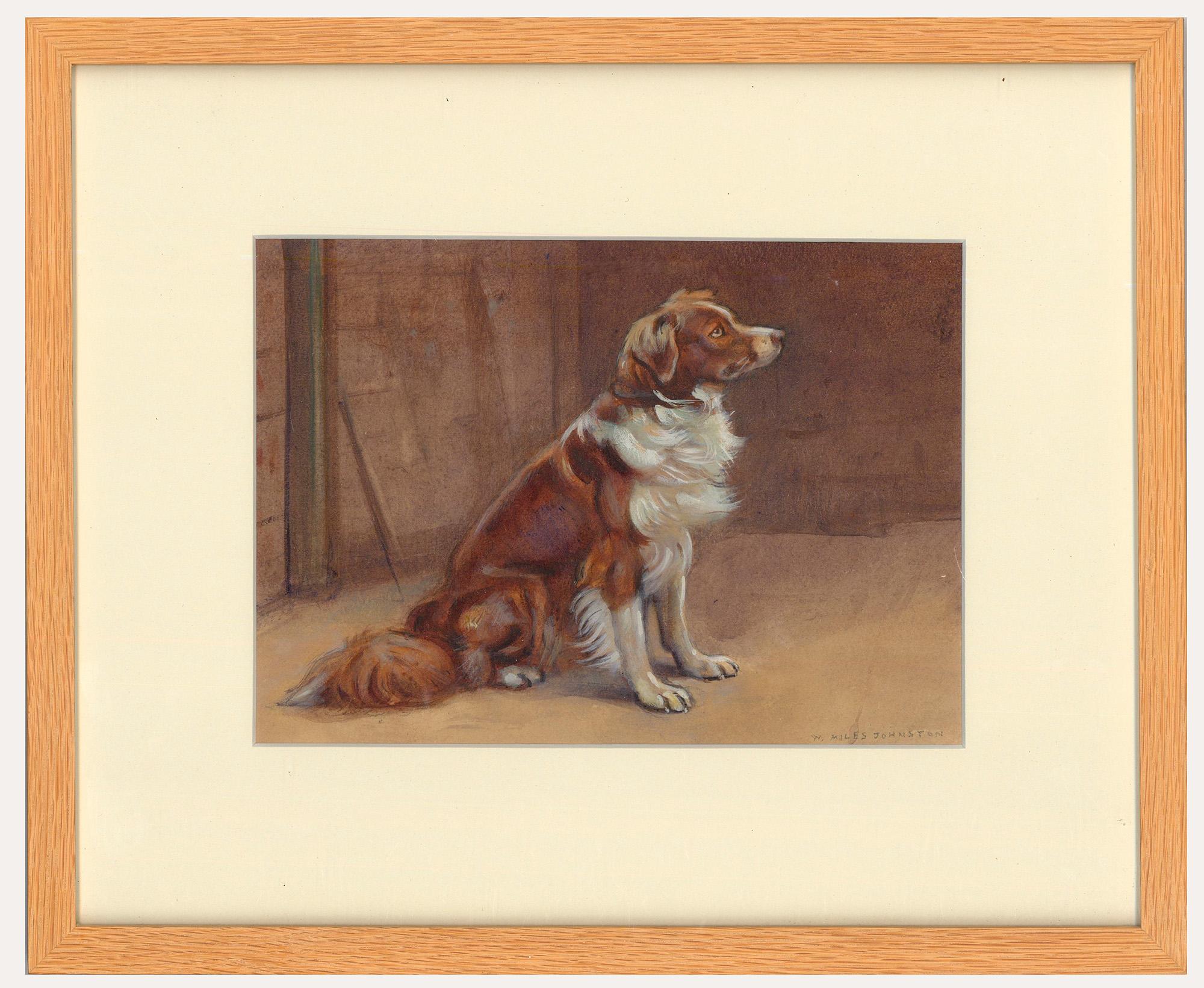 William Johnstone Animal Art - William Miles Johnston (1893-1974) - Watercolour, Portrait of a Border Collie