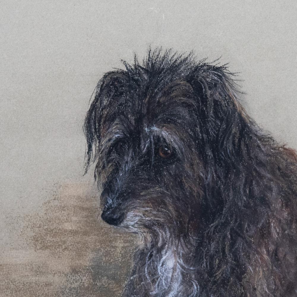 Mary Browning - 1972 Pastel, Jessie The Lurcher 1