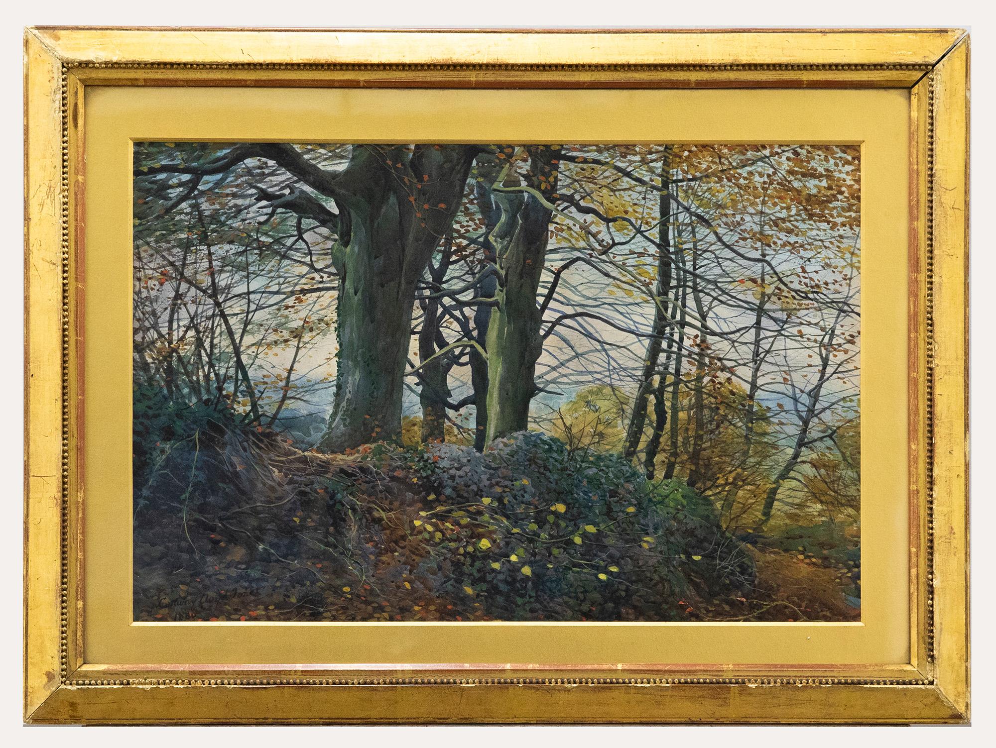 Unknown Landscape Art – Conway Lloyd Jones (1846-1897) - Gerahmtes Aquarell des späten 19. Jahrhunderts, Beeches