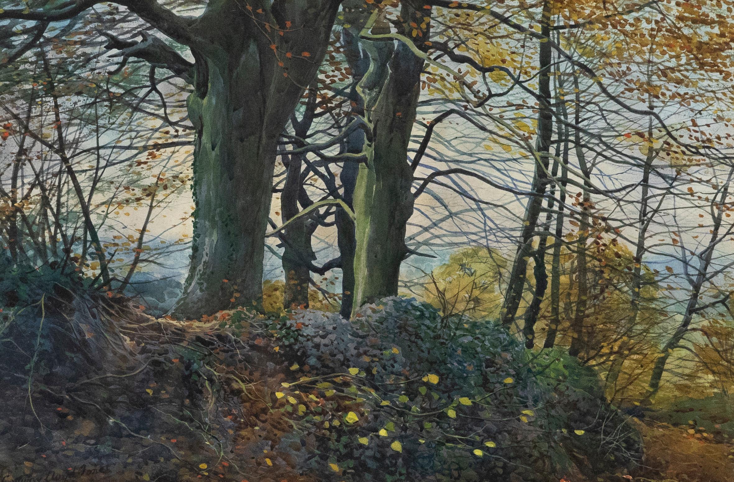Conway Lloyd Jones (1846-1897) - Framed Late 19th Century Watercolour, Beeches - Art by Unknown