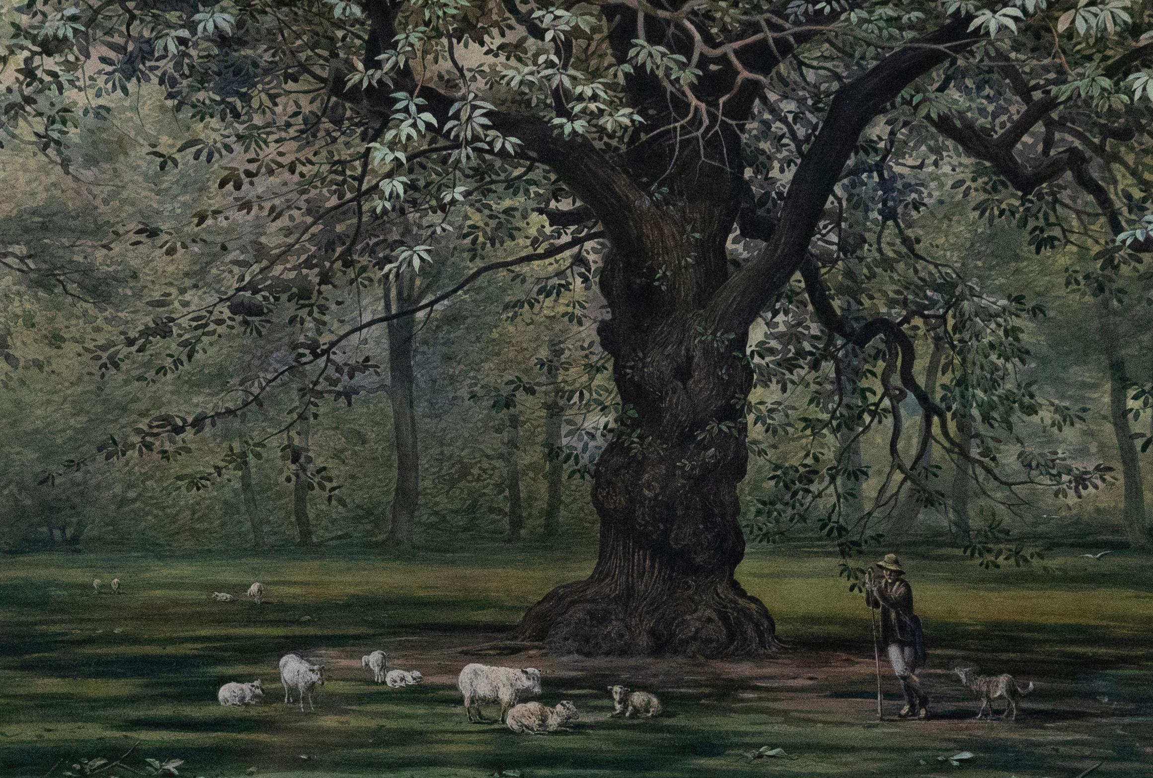 Conway Lloyd Jones (1846-1897) - 1881 Watercolour, Shepherd & Flock - Art by Unknown