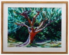Paul Deacon (n.1953) - Pastel contemporáneo al óleo, Un gran olivo viejo