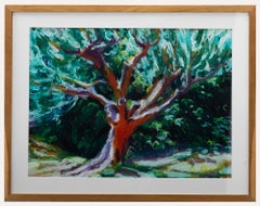 Paul Deacon (b.1953) - Contemporary Oil Bar Pastel, A Grand Old Olive Tree