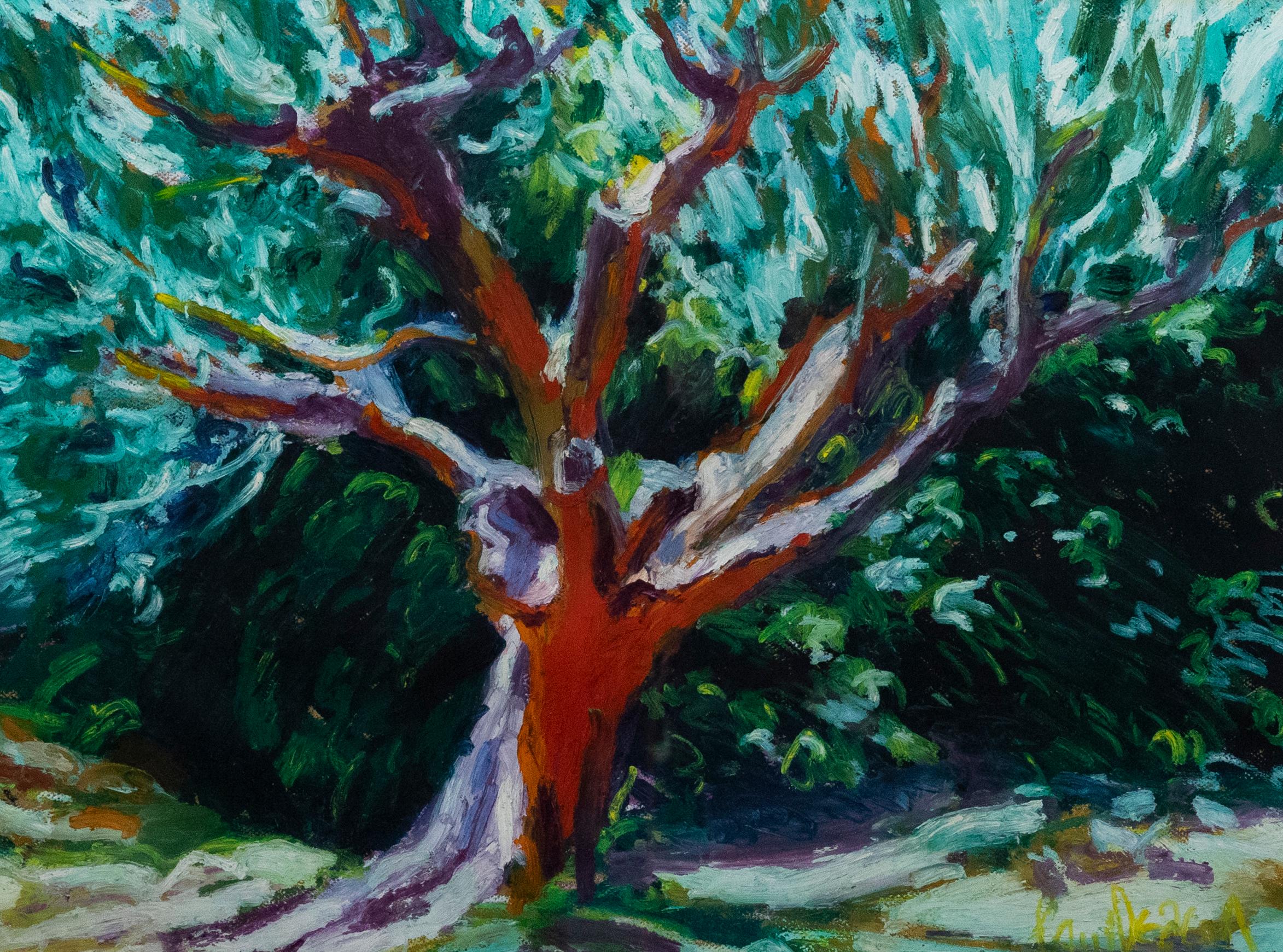 Paul Deacon (b.1953) - Contemporary Oil Bar Pastel, A Grand Old Olive Tree - Art by Unknown