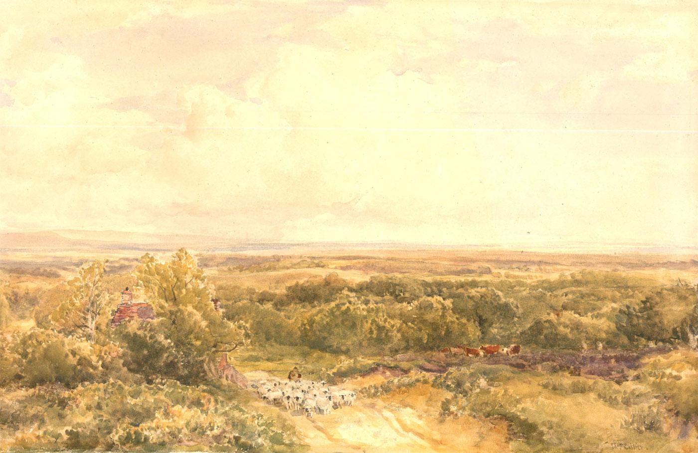 Unknown Landscape Art - Thomas Collier RI (1840-1891) Watercolour, Shepherd and Flock