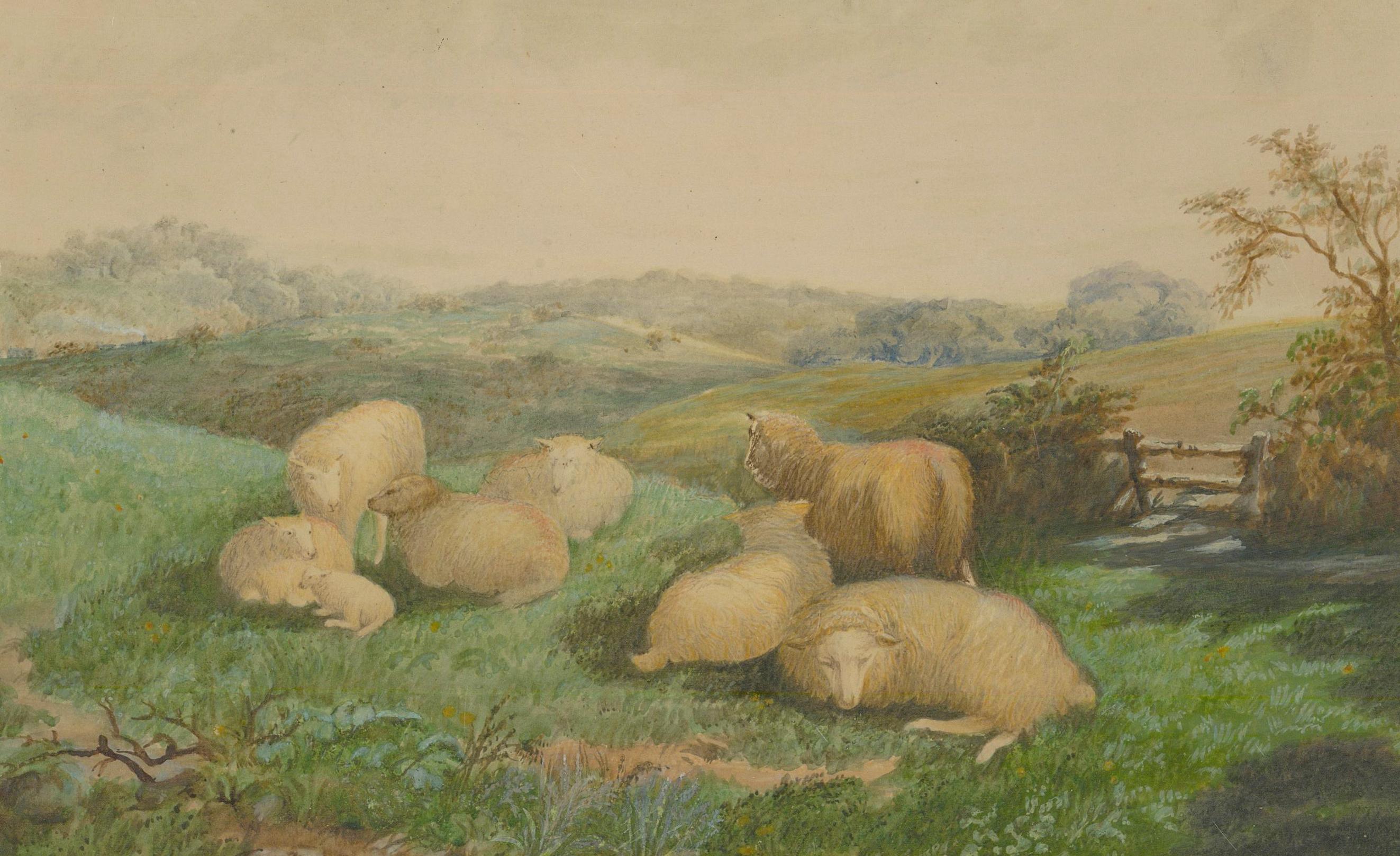 Follower of William Sidney Cooper (1854-1927)- Framed Watercolour, Ewes at Rest - Art by Unknown