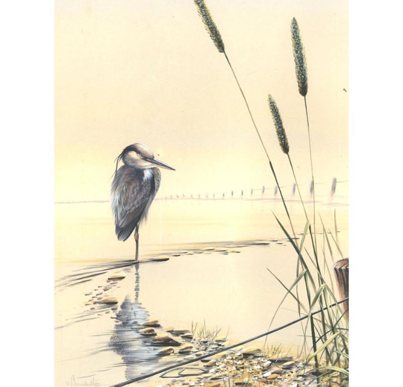Unknown Animal Art - Warwick Higgs (b.1956) - Contemporary Watercolour, Heron in the Water