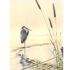 Warwick Higgs (b.1956) - Contemporary Watercolour, Heron in the Water