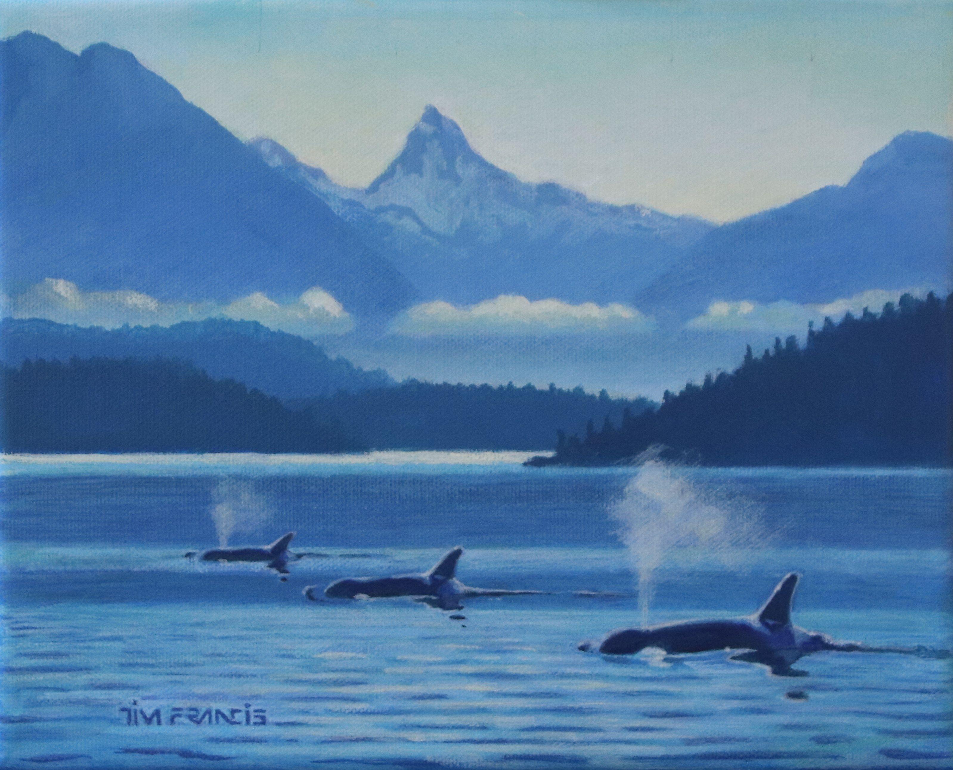 A trio of Orcas make their way through the Inside Passage, east of Vancouver Island, with the Coast Range in the background. :: Painting :: Realism :: This piece comes with an official certificate of authenticity signed by the artist :: Ready to
