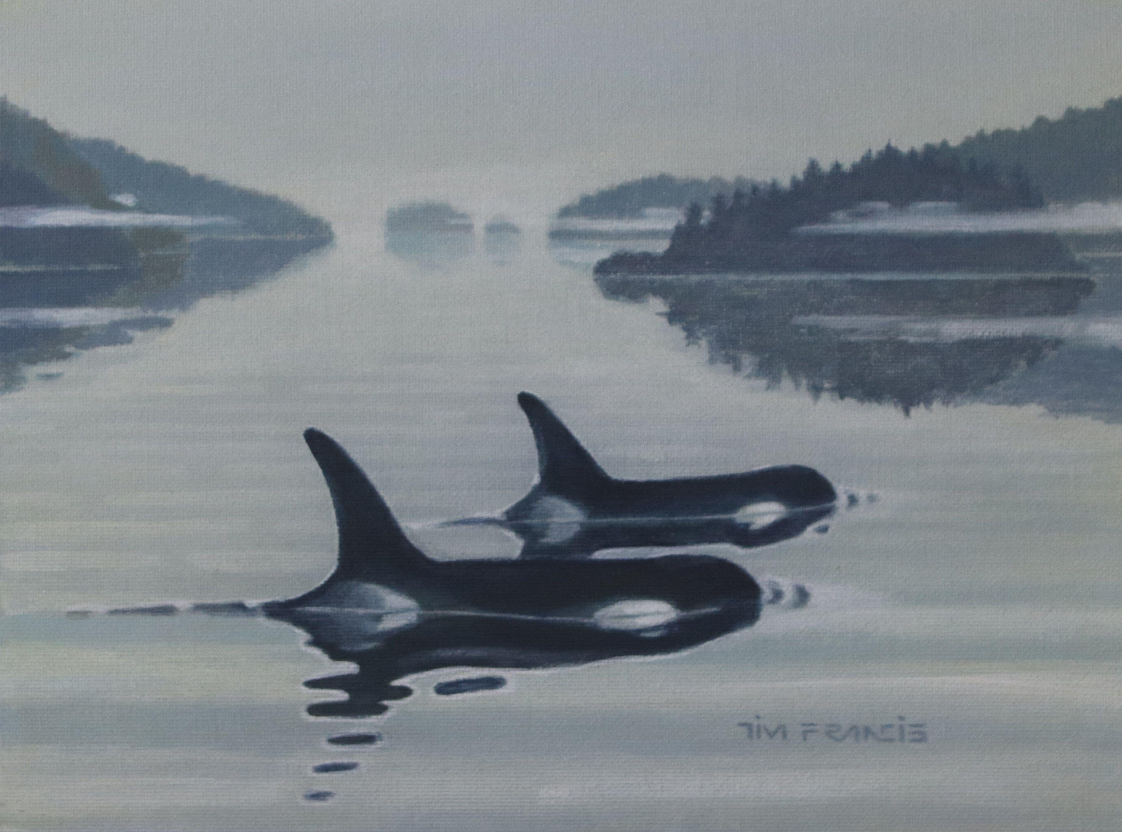 A pair of Orcas surface to open water while the morning mist still clings to the evergreens on the edges of the Salish Sea. Payne's Grey, Cobalt Blue and Cadmium Yellow were employed for this acrylic on canvas. :: Painting :: Realism :: This piece