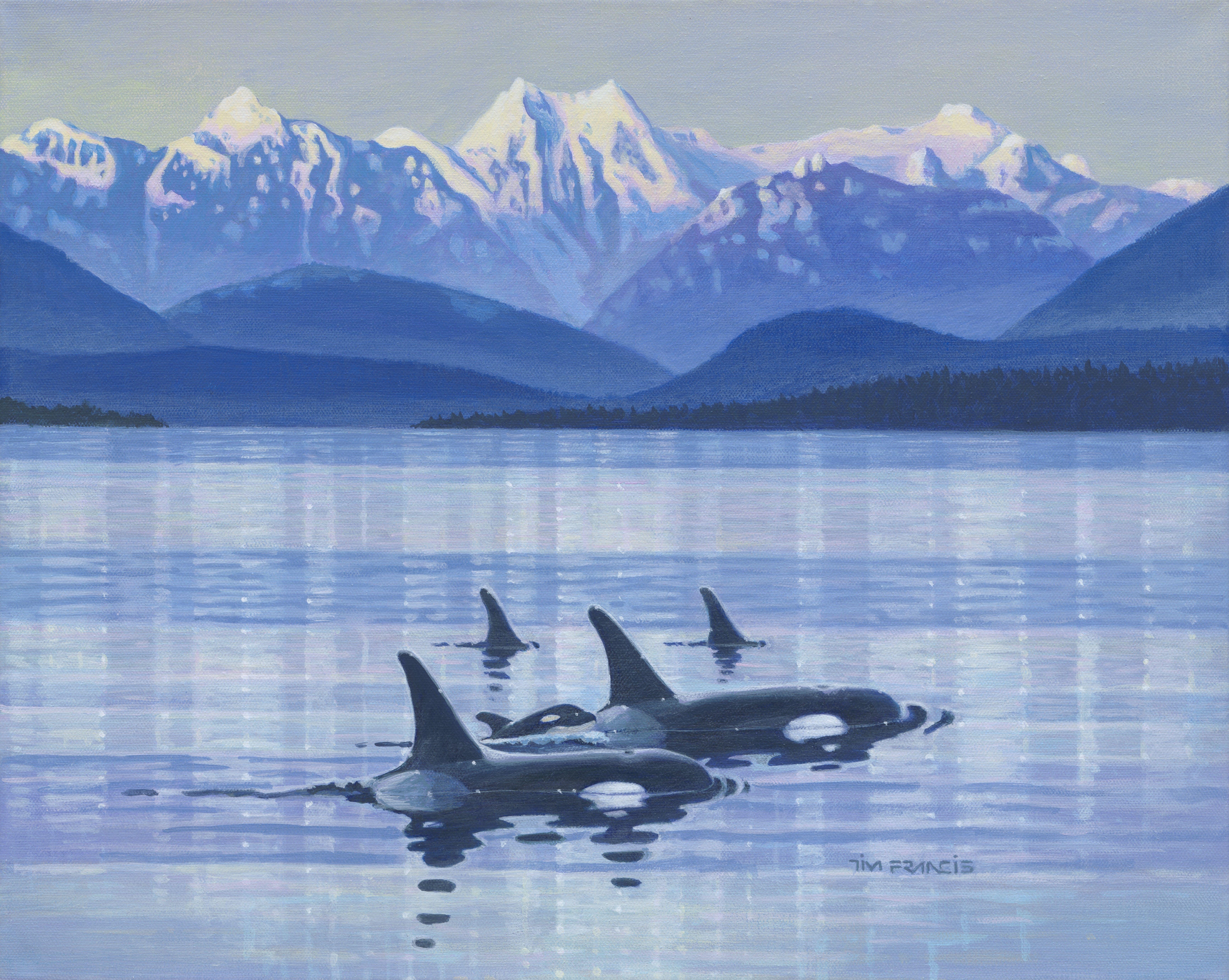 Five Orcas, including a calf, ply the waters of the Salish Sea. There are only seventy-three Orcas remaining in the Salish Sea and a baby is a are occurrence. :: Painting :: Realism :: This piece comes with an official certificate of authenticity
