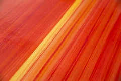 Orange Yellow Clash, Painting, Acrylic on Canvas