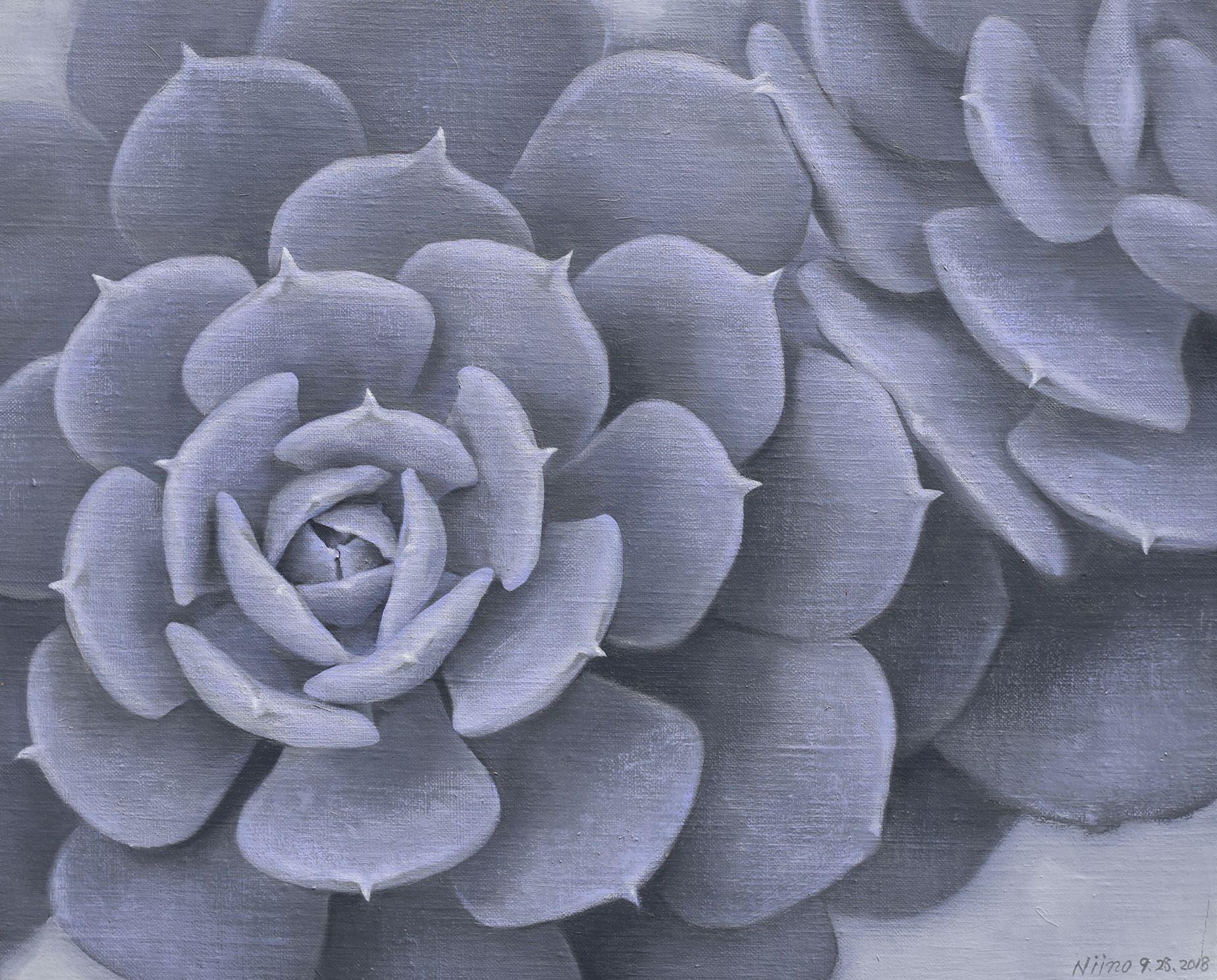Overlapped dawn - Cactus, Painting, Oil on Canvas