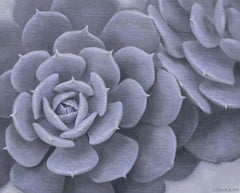 Cactus, peinture à l'huile sur toile, crépuscule enchevêtrée