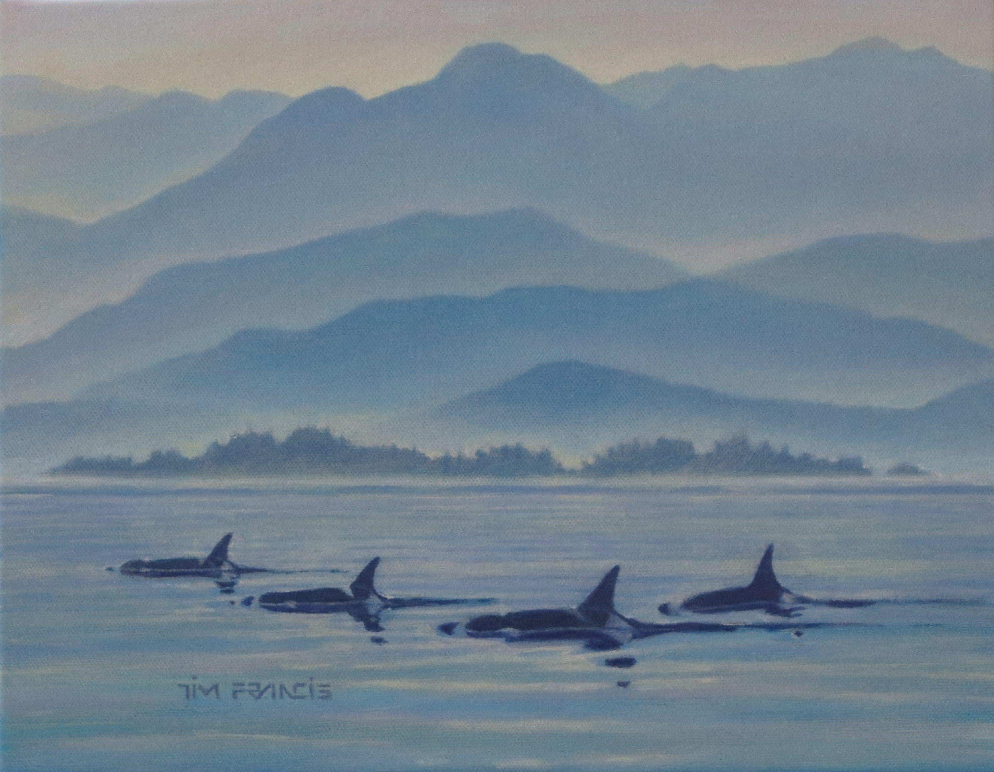 Cobalt Blue, Cadmium Yellow and Theo Violet were used in the creation of this acrylic of four Orcas hunting in the Salish Sea off of British Columbia's southern coast. :: Painting :: Fine Art :: This piece comes with an official certificate of