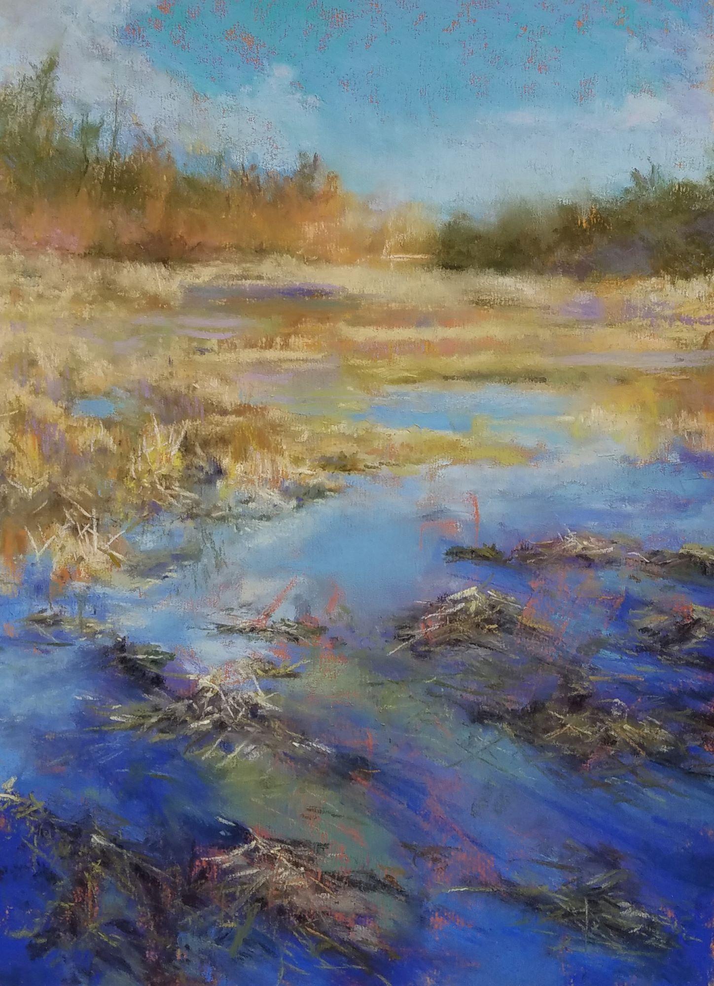 Recovering from Winter, Drawing, Pastels on Pastel Sandpaper - Art by Bob Palmerton