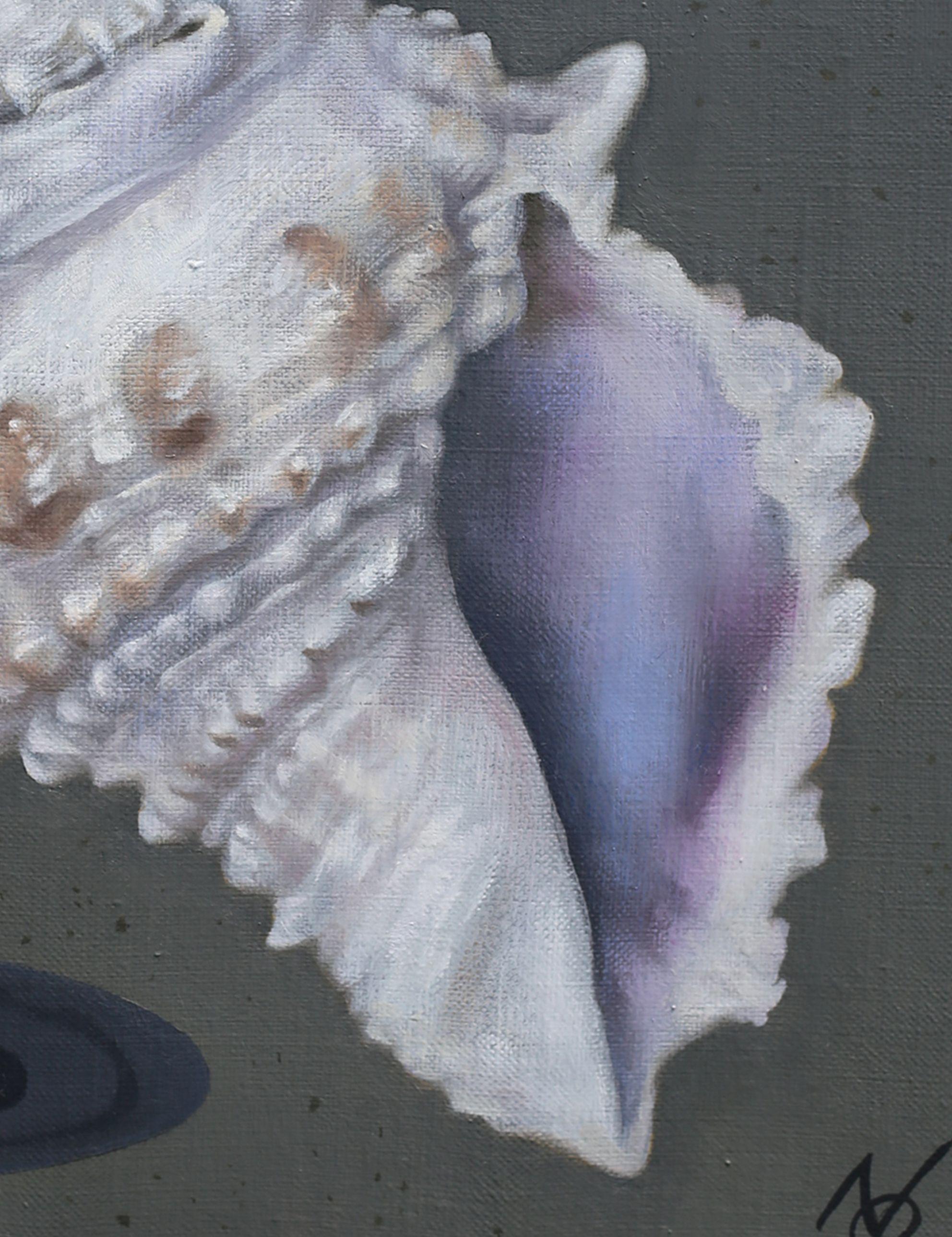 I believe that each seashell has its own story(history). When we find them on the beach, they are just there as an object. :: Painting :: Photorealism :: This piece comes with an official certificate of authenticity signed by the artist :: Ready to