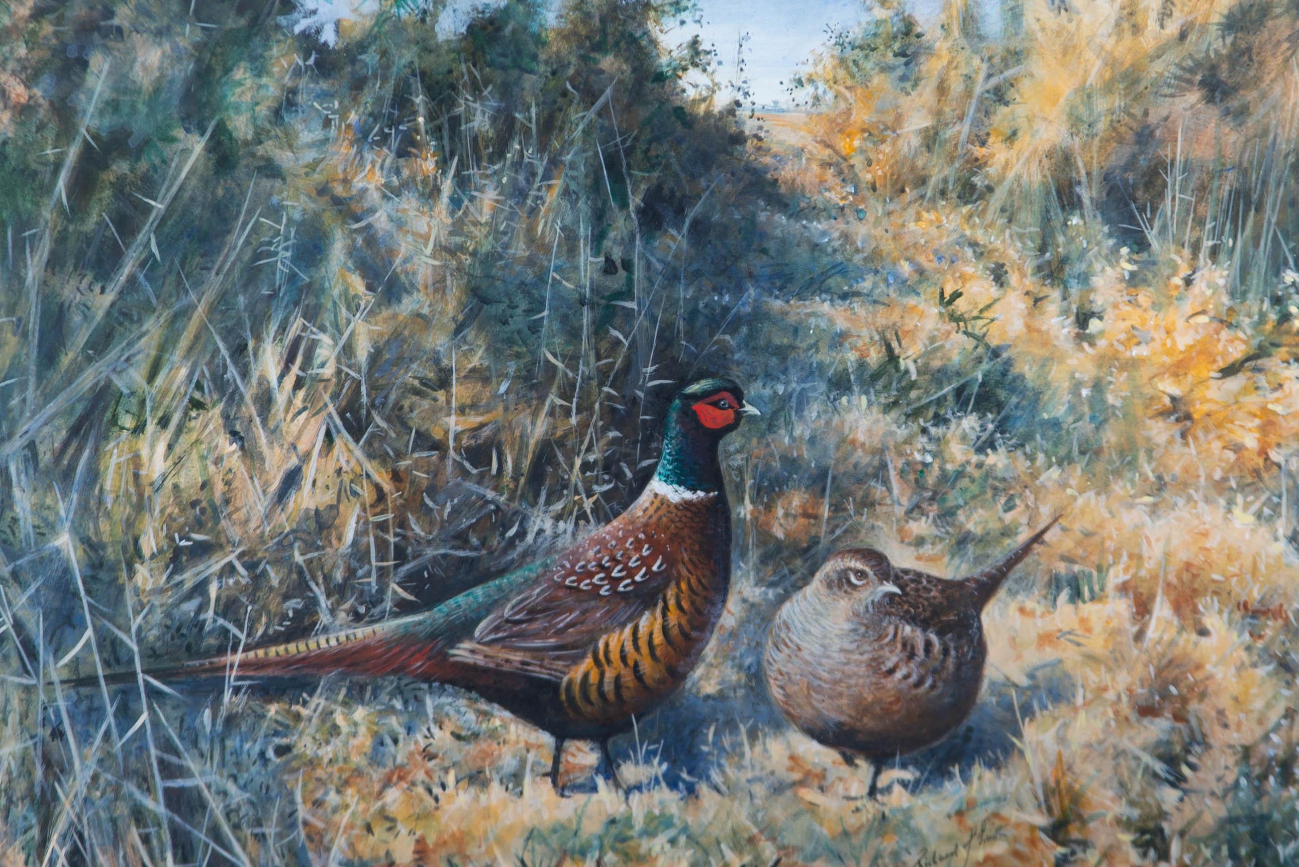 Richard J Smith (1955) - Contemporary Watercolour, Pair Of Pheasants - Art by Unknown