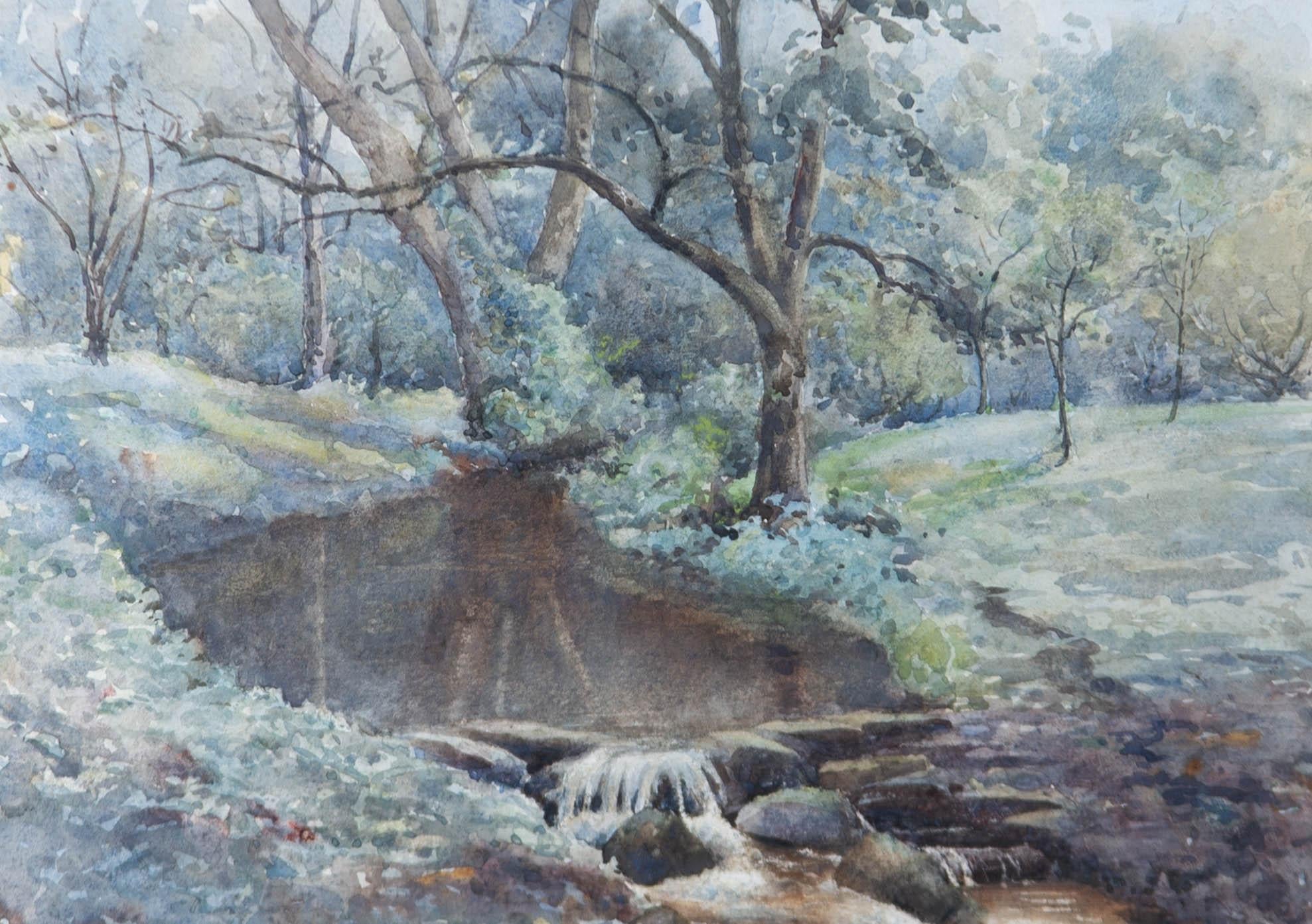 C.L. Windsor - Signed & Framed Early 20th Century Watercolour, Woodland Stream - Art by Unknown