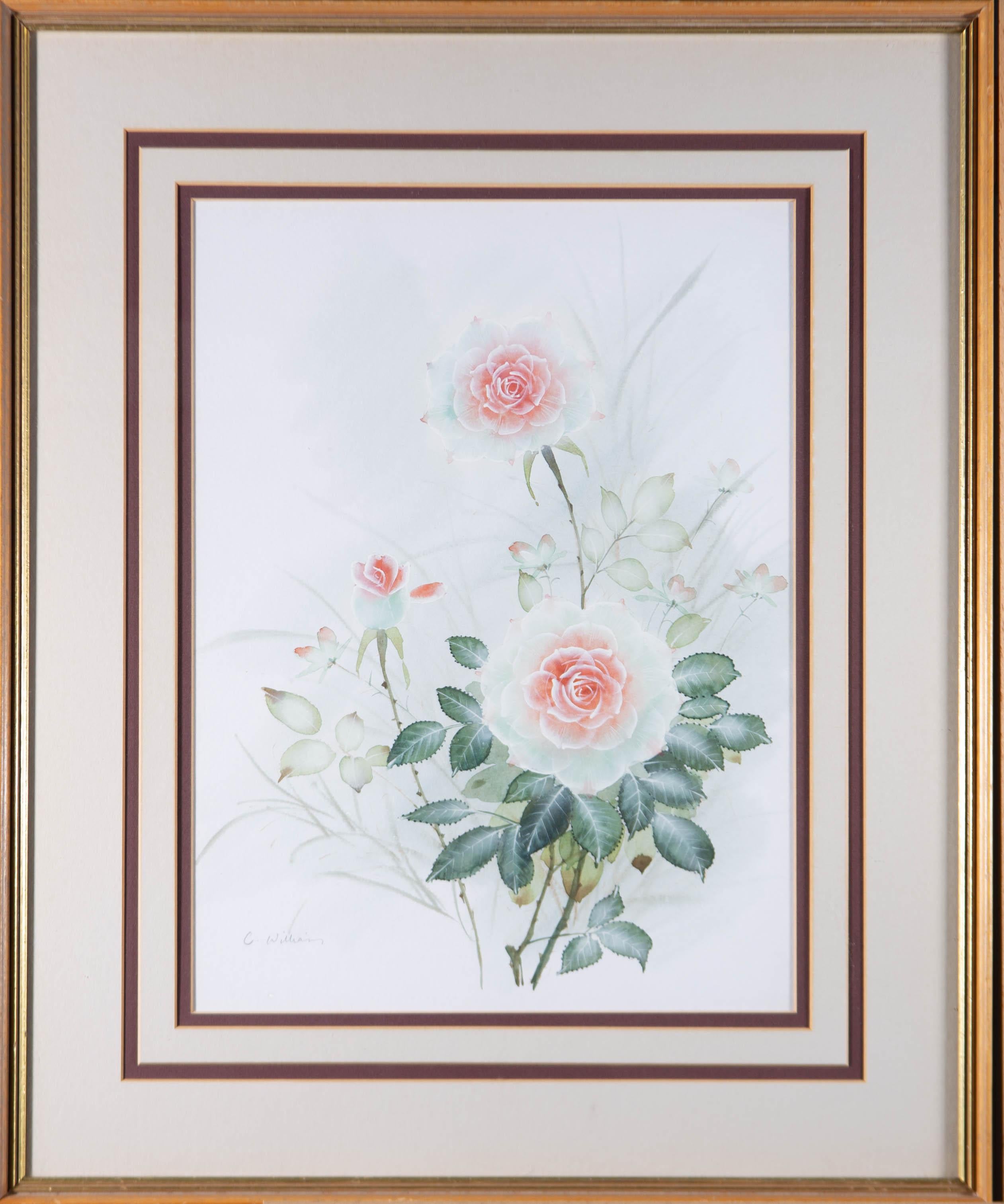 Unknown Still-Life - C. Williams - Signed & Framed Mid 20th Century Watercolour, Rose Study
