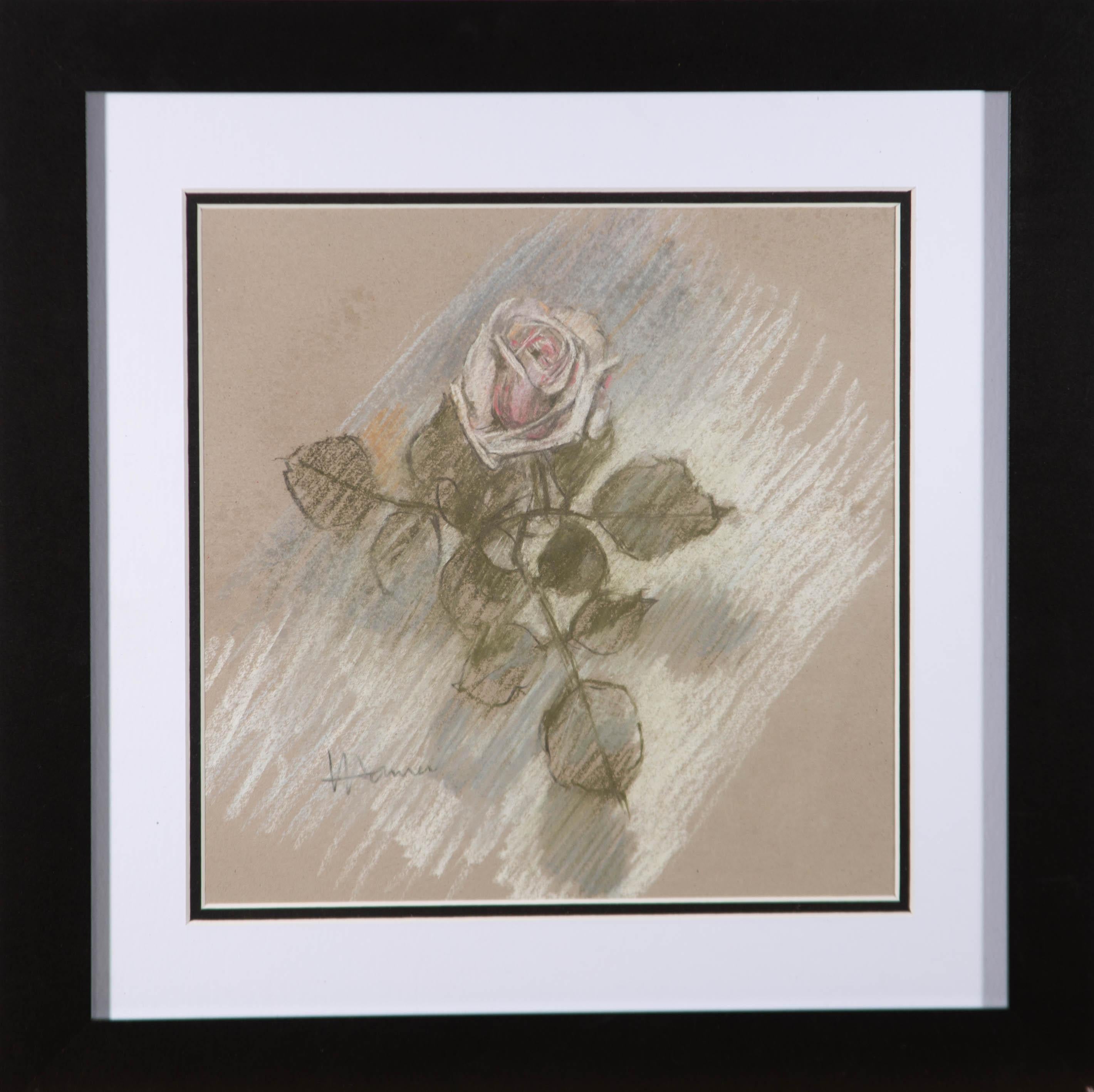 Unknown Still-Life – Val Hamer - Zeitgenössische Pastellfarbene, hellrosa Rose
