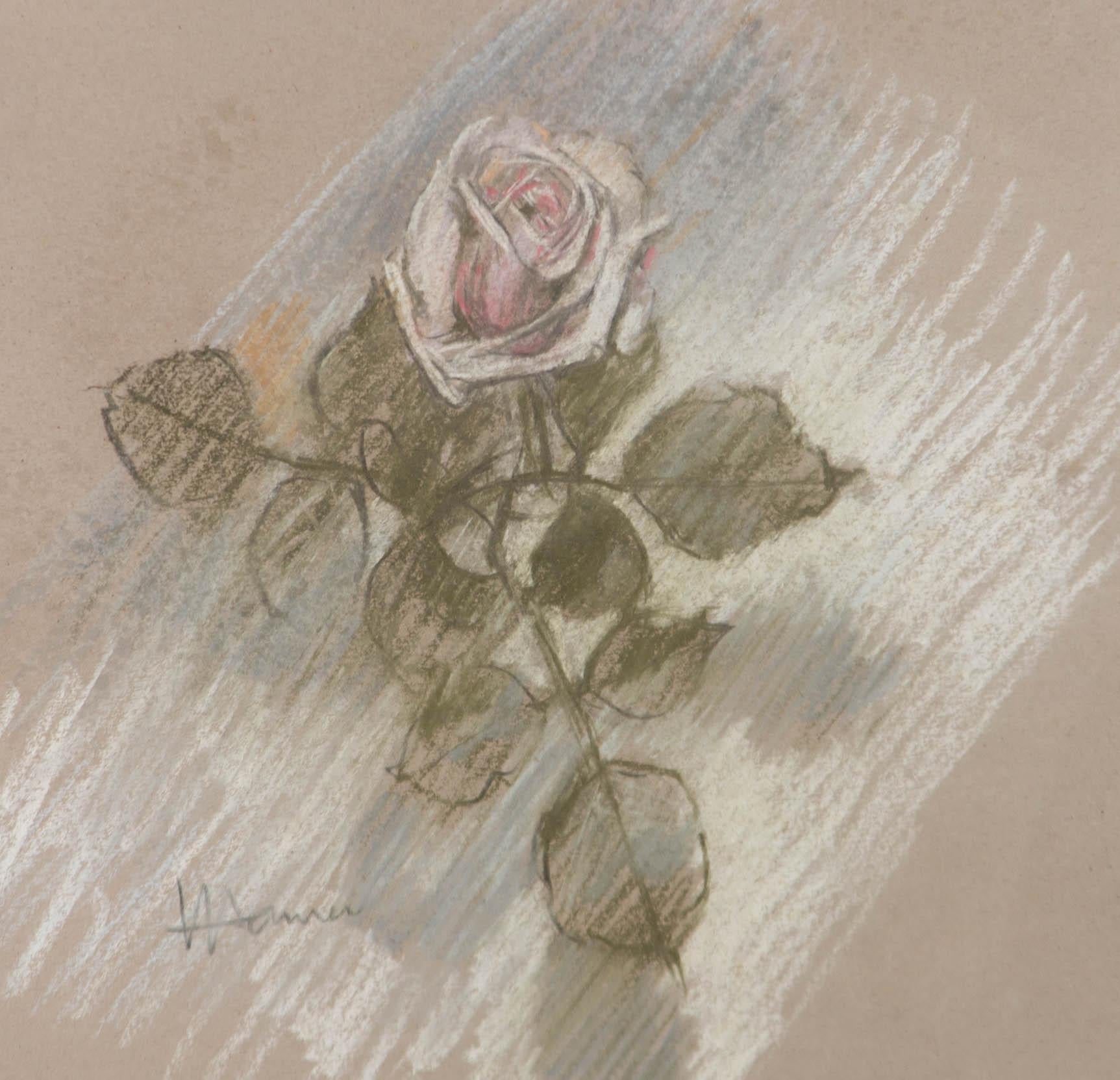 Val Hamer - Zeitgenössische Pastellfarbene, hellrosa Rose – Art von Unknown