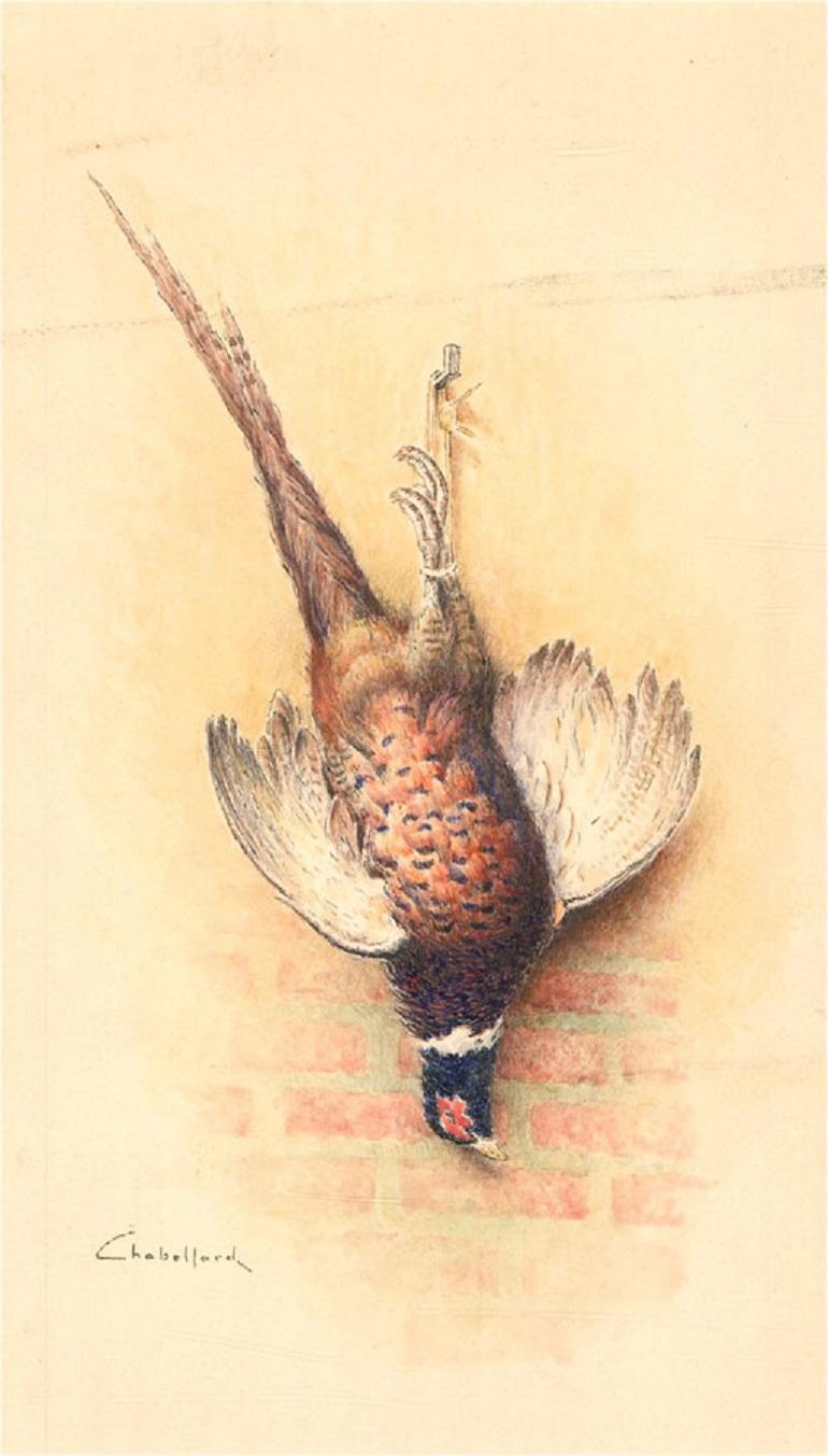 Unknown Animal Art - Chabellard - Signed & Framed Mid 20th Century Watercolour, Hung Pheasant