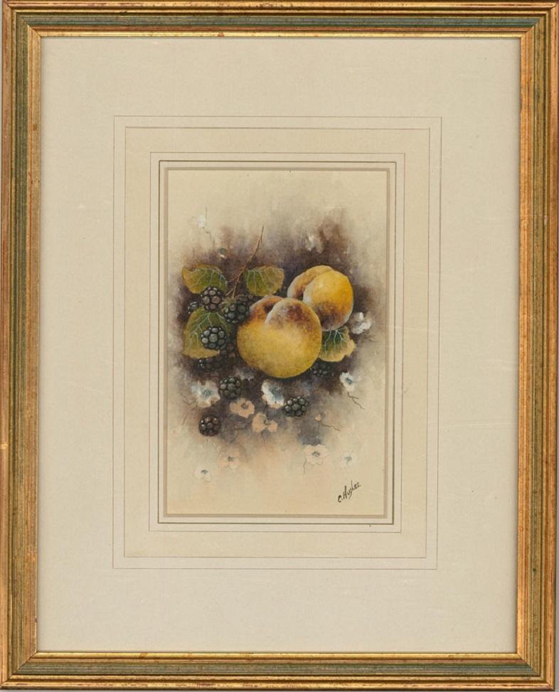 A fine watercolour painting with gouache details by the British artist Christopher Hughes, depicting a still life of peaches and blackberries. Signed to the lower right-hand corner. Well-presented in a washline card mount and in a distressed gilt