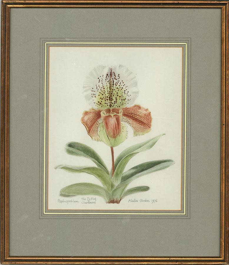 A beautifully detailed watercolour and graphite botanical study of a white Paphiopedilum flower, commonly known as a Venus slipper, by the British artist Alastair Gordon. The inscriptions to the lower left-hand corner read: 'Paphiopedilum, The Pie