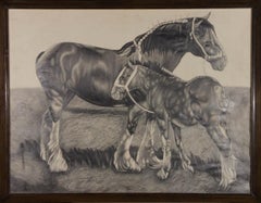 J.P. - 20th Century Graphite Drawing, Shire Horse and Foal