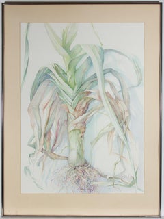 Vicky Cox - Framed 20th Century Coloured Pencil, The Leek