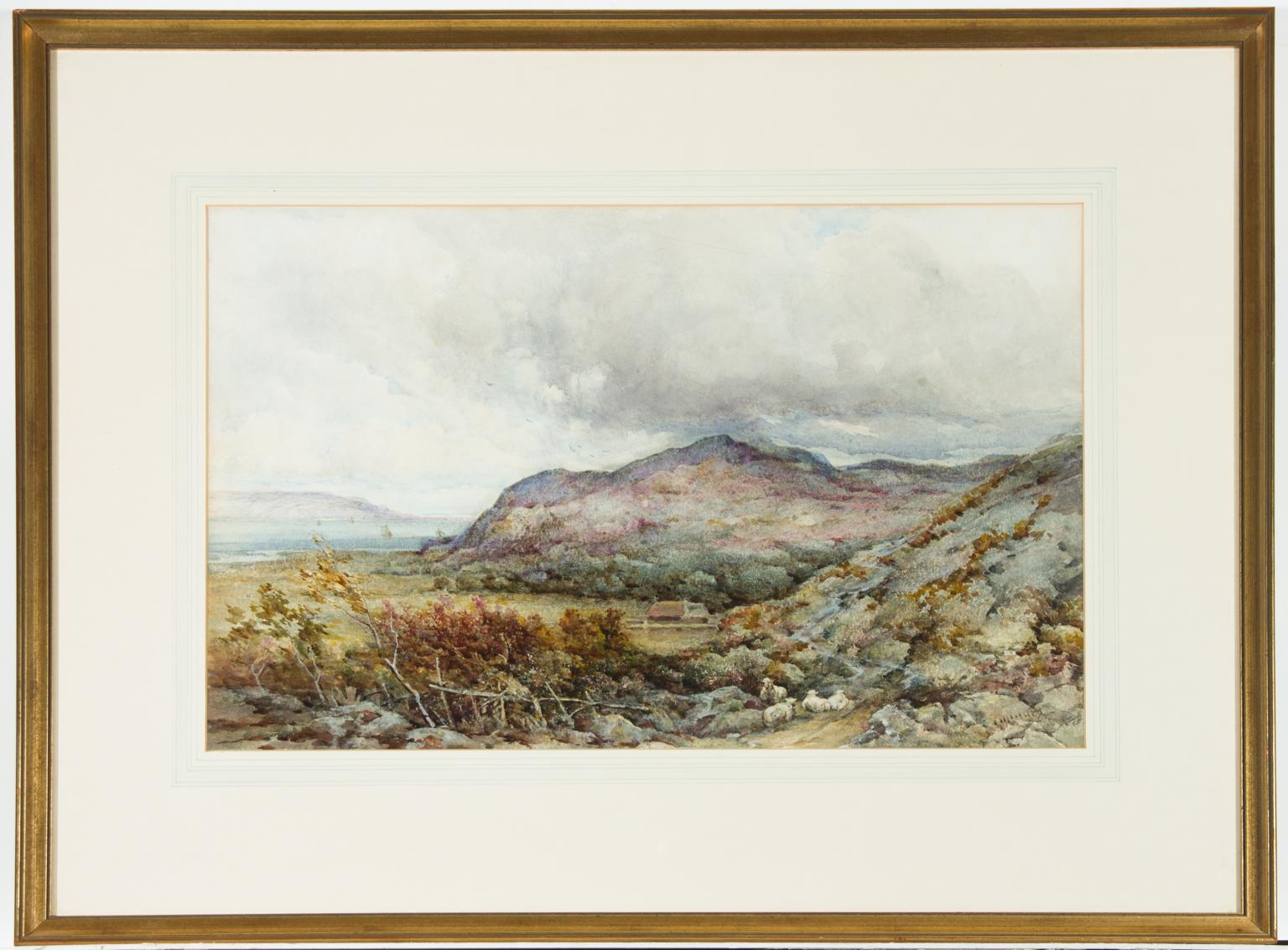 Unknown Landscape Art - Framed Early 20th Century Watercolour - Coastal Landscape with Grazing Sheep