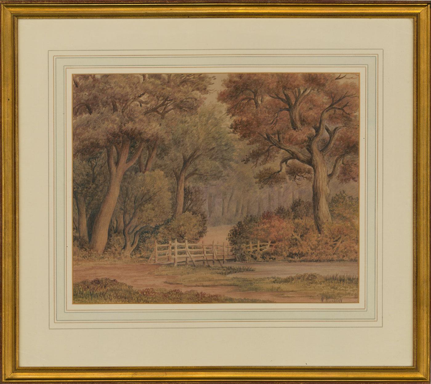 Unknown Landscape Art - W. Hinchcliff - Late 19th Century Watercolour, Forest Scene with a Pond
