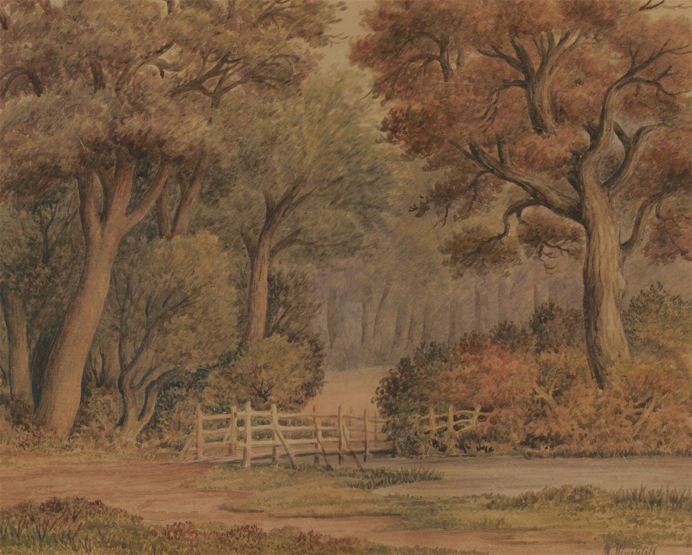 W. Hinchcliff - Late 19th Century Watercolour, Forest Scene with a Pond - Art by Unknown