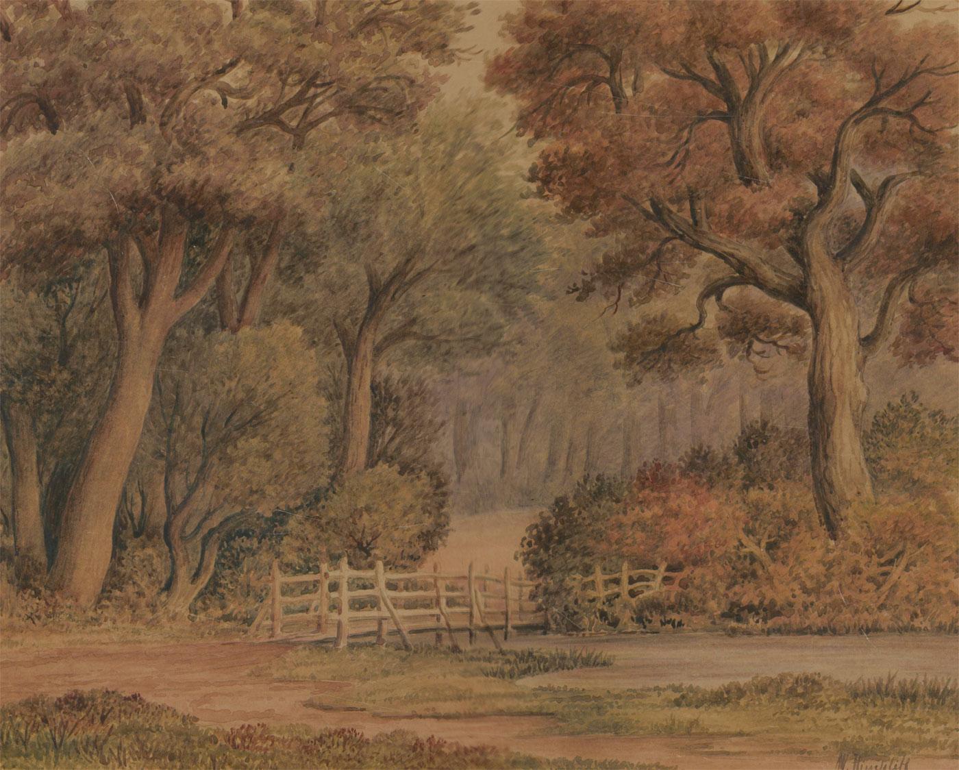 W. Hinchcliff - Aquarell des späten 19. Jahrhunderts, Waldszene mit einem Teich – Art von Unknown