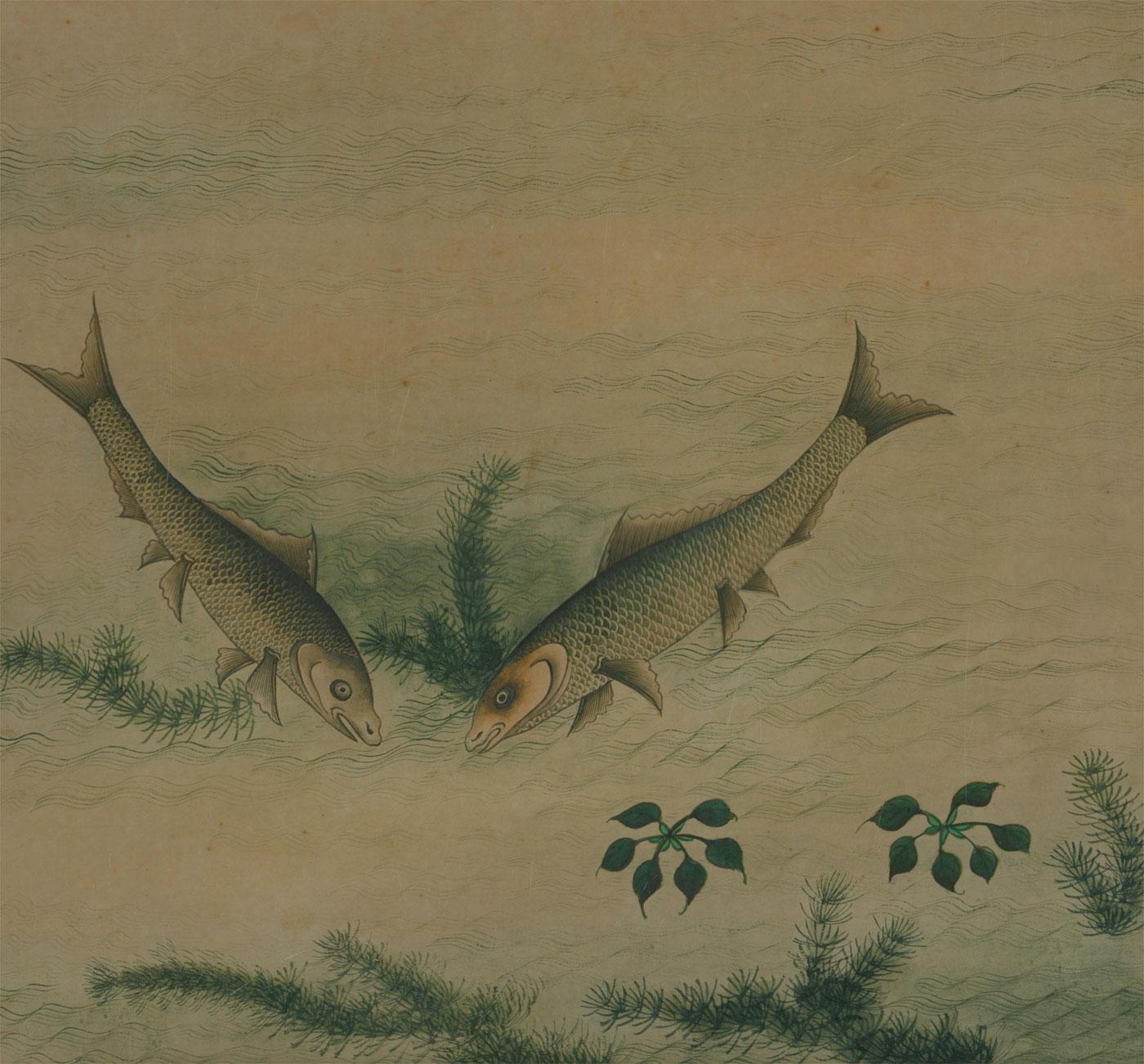 Early 20th Century Watercolour - Two Fish with Foliage - Art by Unknown