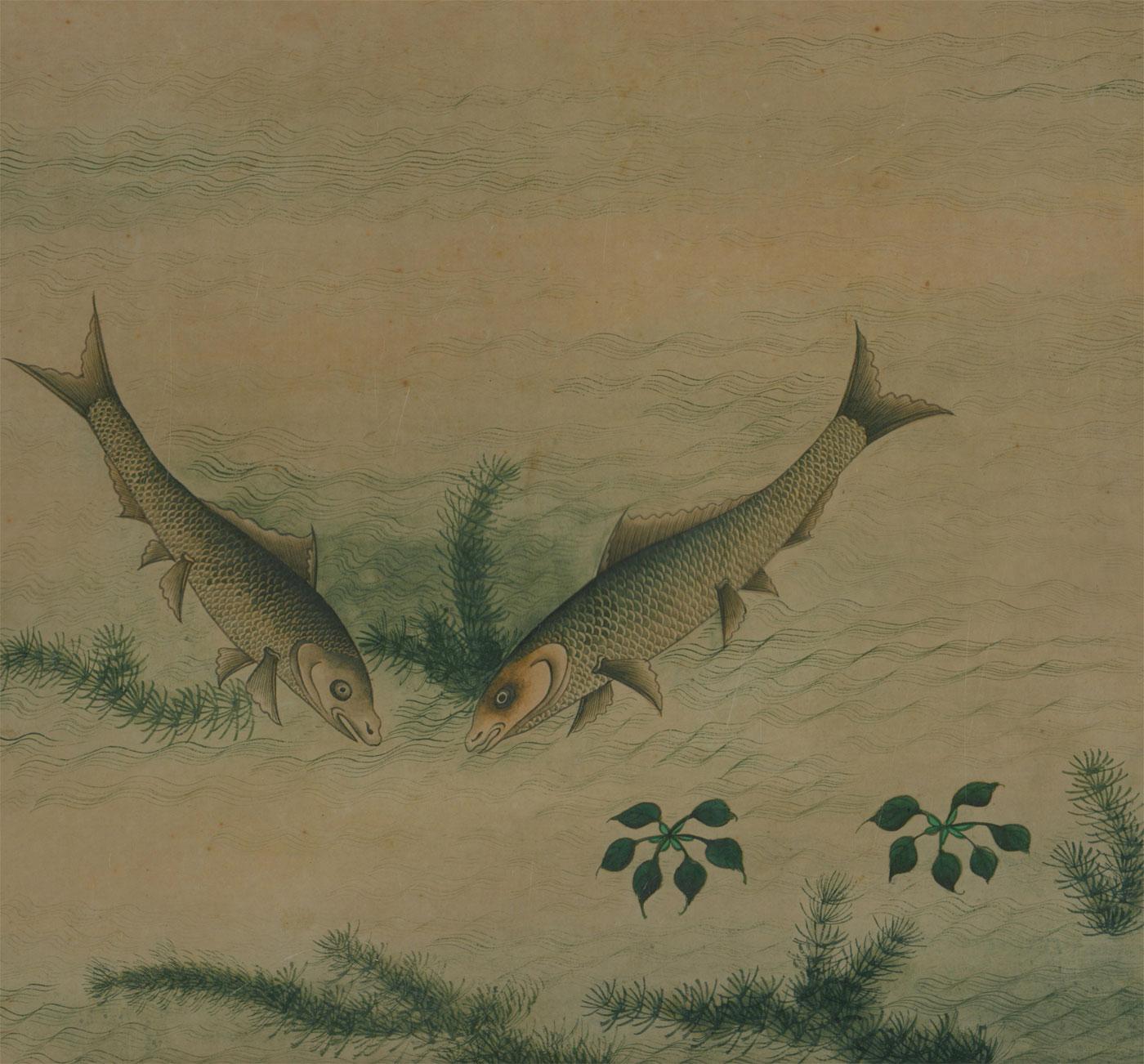 Acuarela de principios del siglo XX - Dos peces con follaje - Art de Unknown