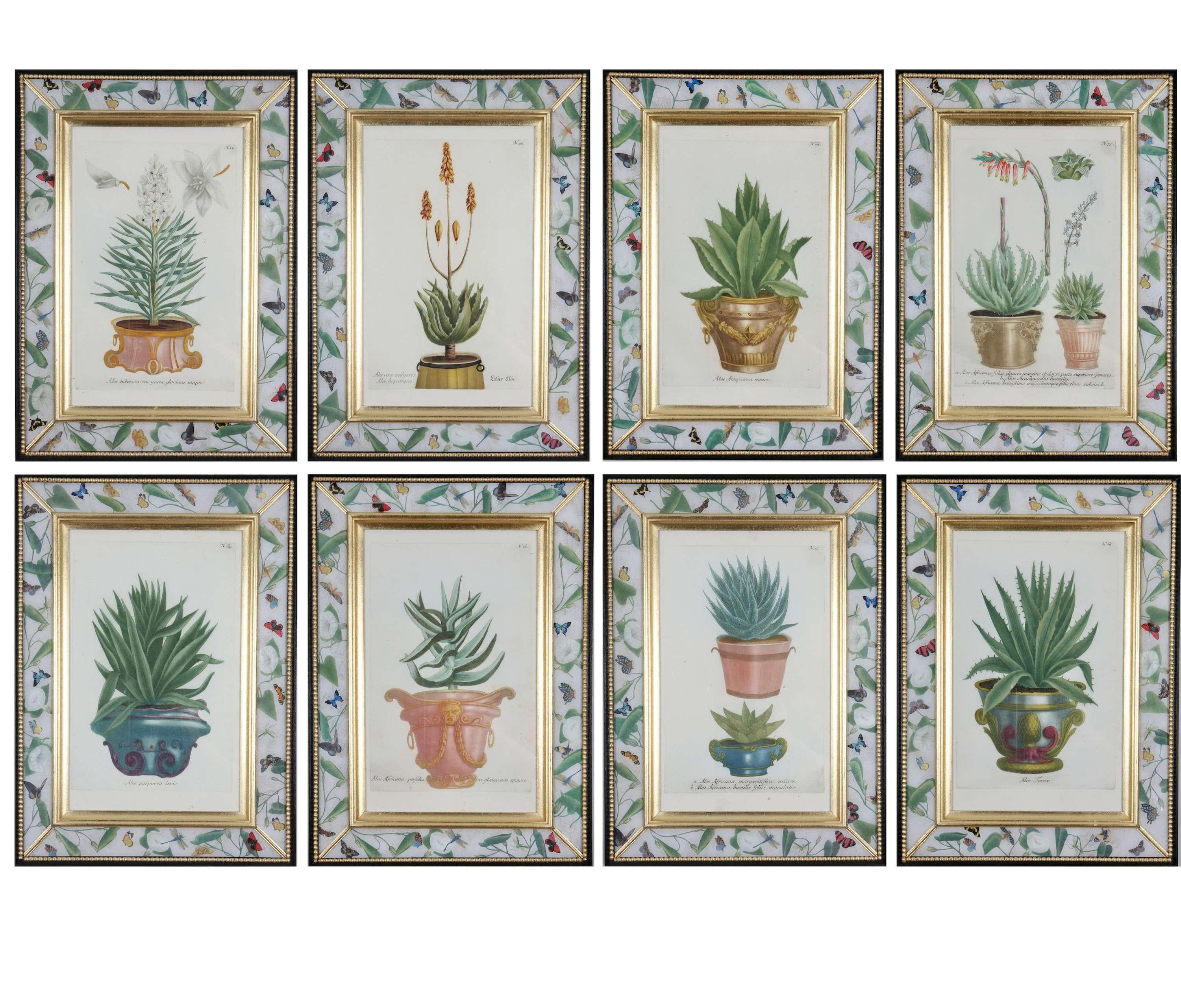 Hand-coloured mezzotint engravings of decorative urns with aloes and cacti from: 