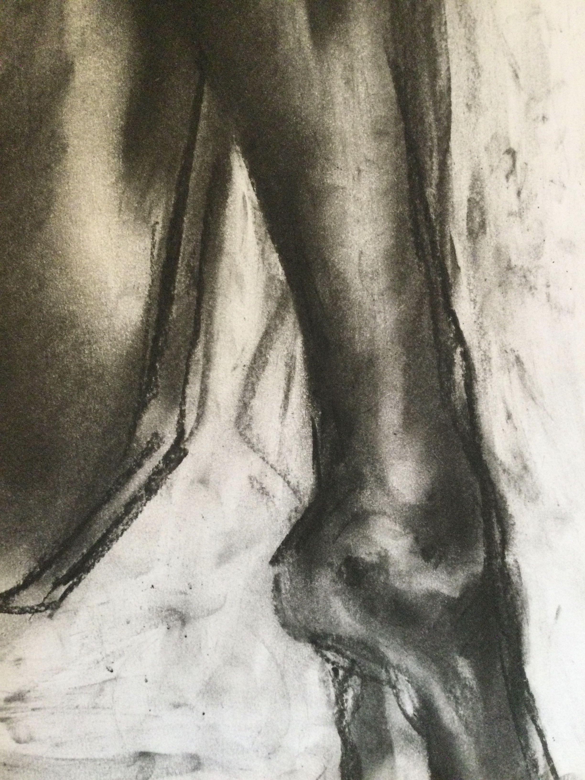 Original charcoal drawing on paper by James Shipton  My works are heavily influenced by the art work of Degas and Gustav Klimt.    My desire is to capture the beauty of the female human form, whilst portraying human isolation. I achieve this through